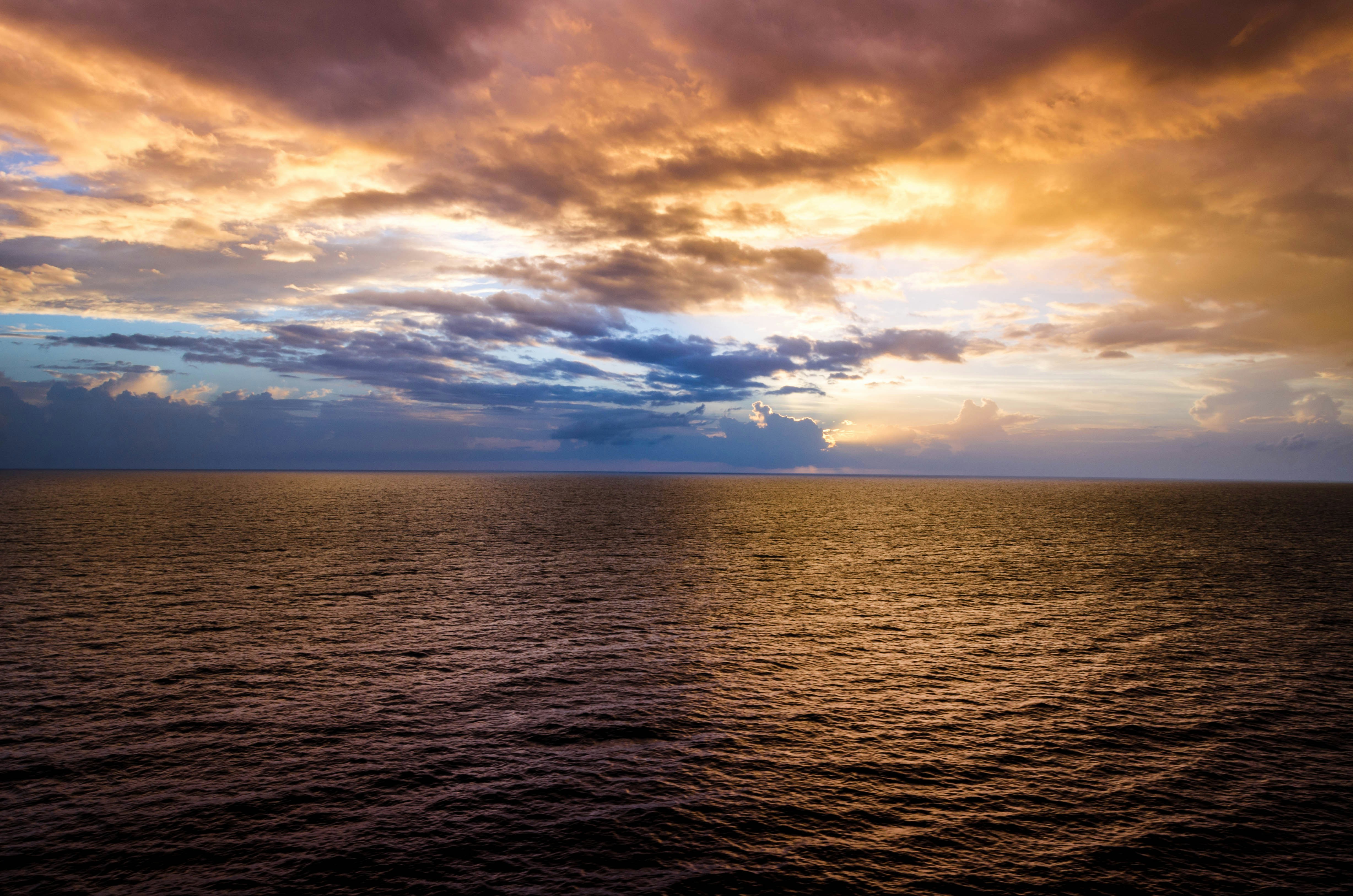 Free Unsplash photo from Claudio Trigueros