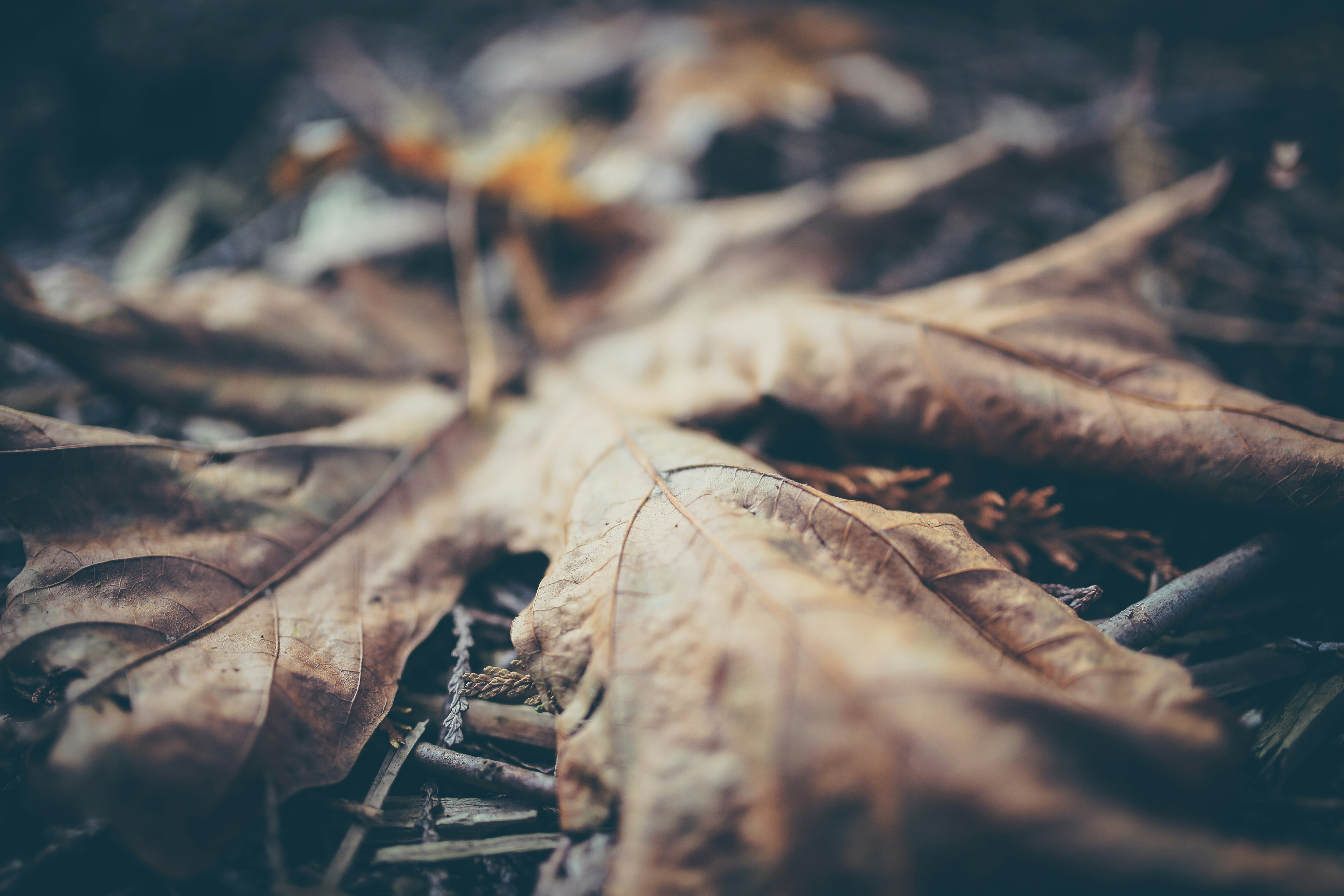 Free Unsplash photo from Chris Montgomery