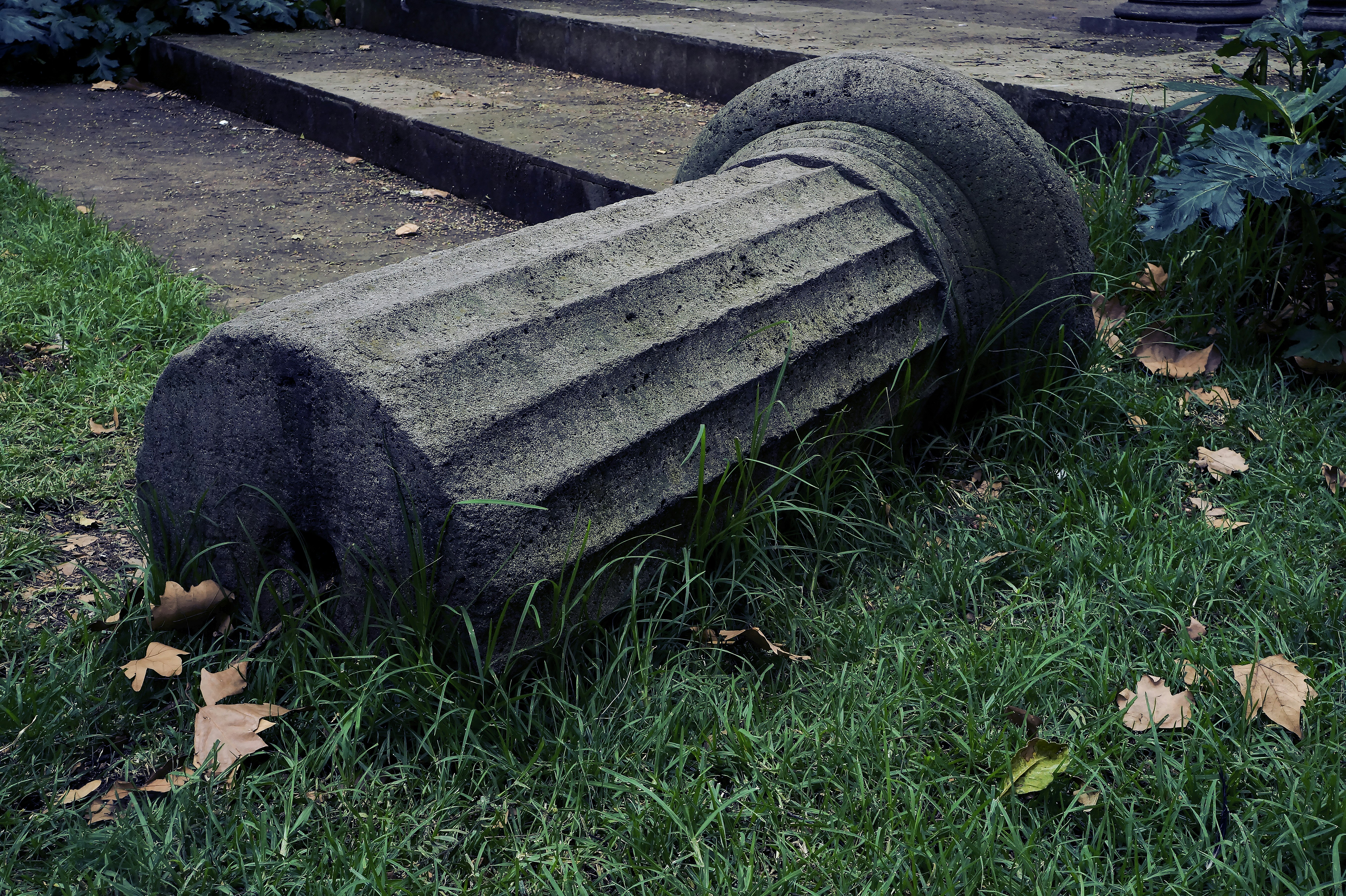 Free Unsplash photo from Israel Báez