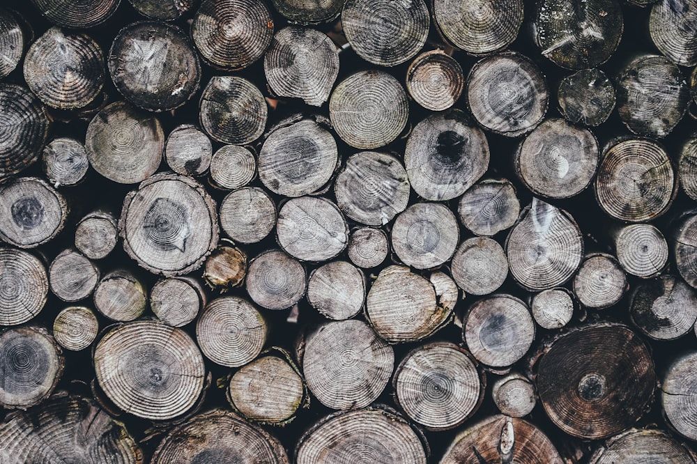 grey logs