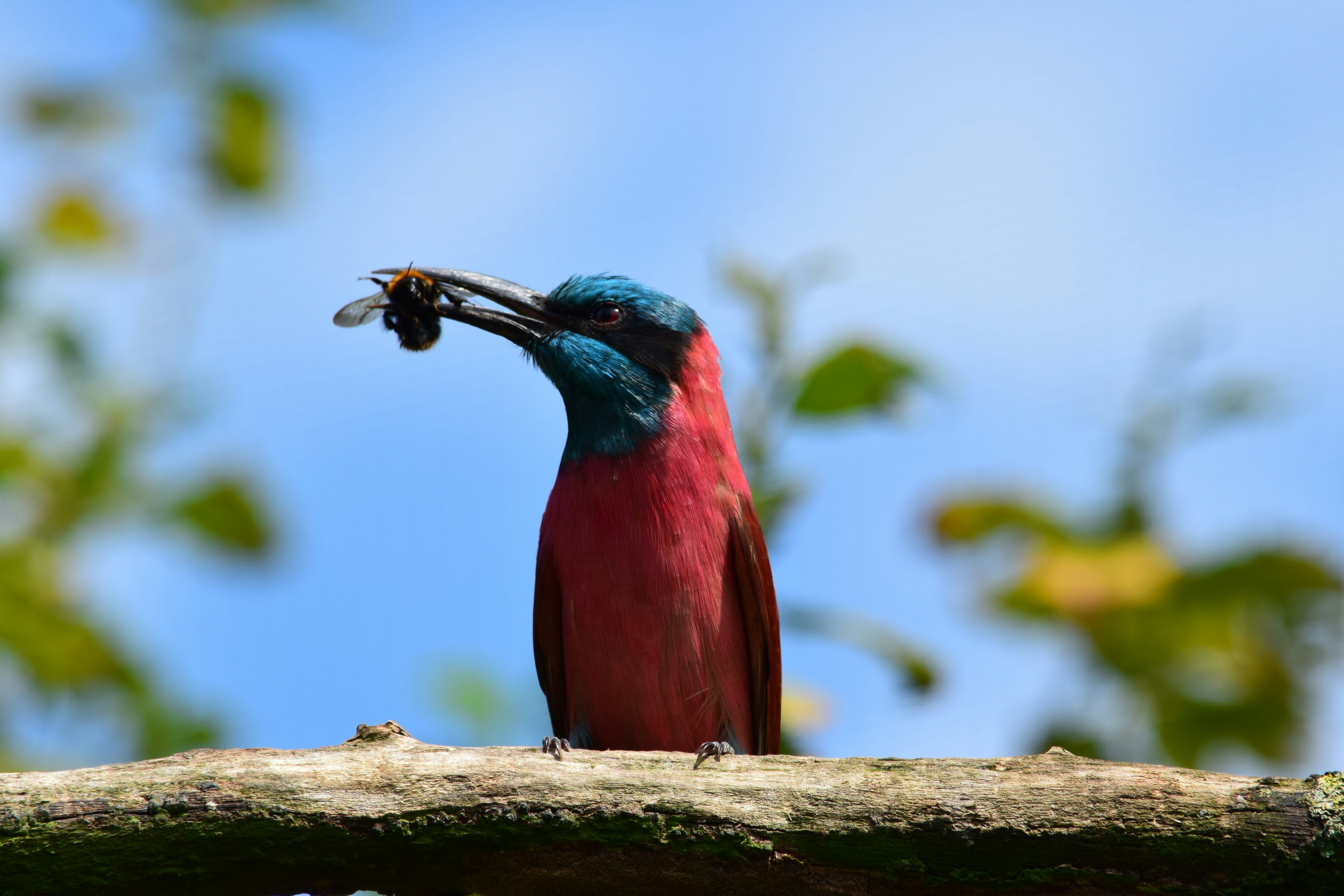 Free Unsplash photo from Xander Krielen