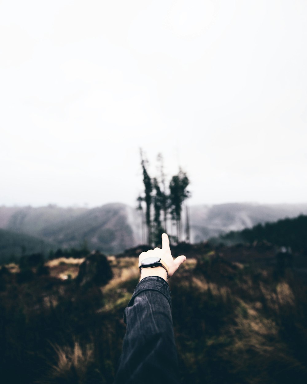 person's left hand pointing to castle