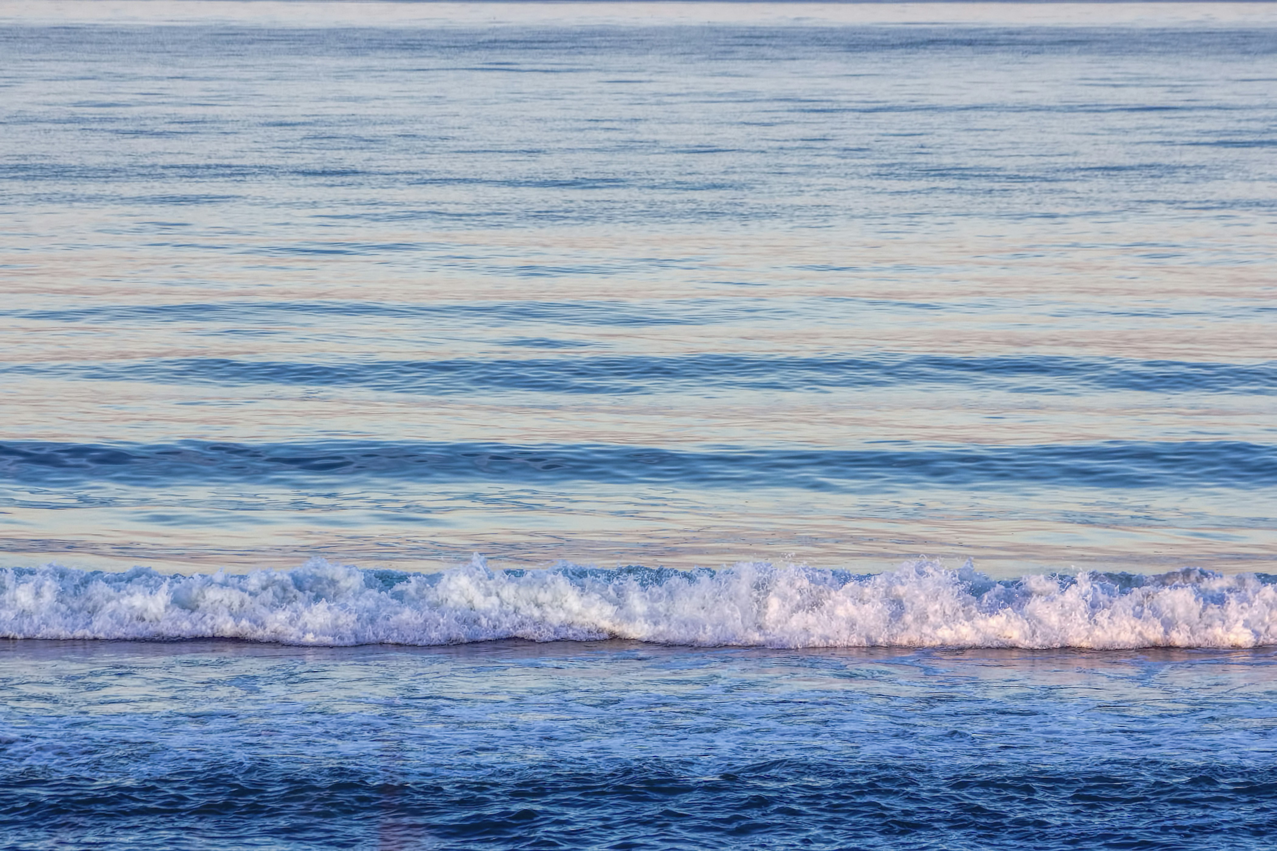 Free Unsplash photo from francis sullivan