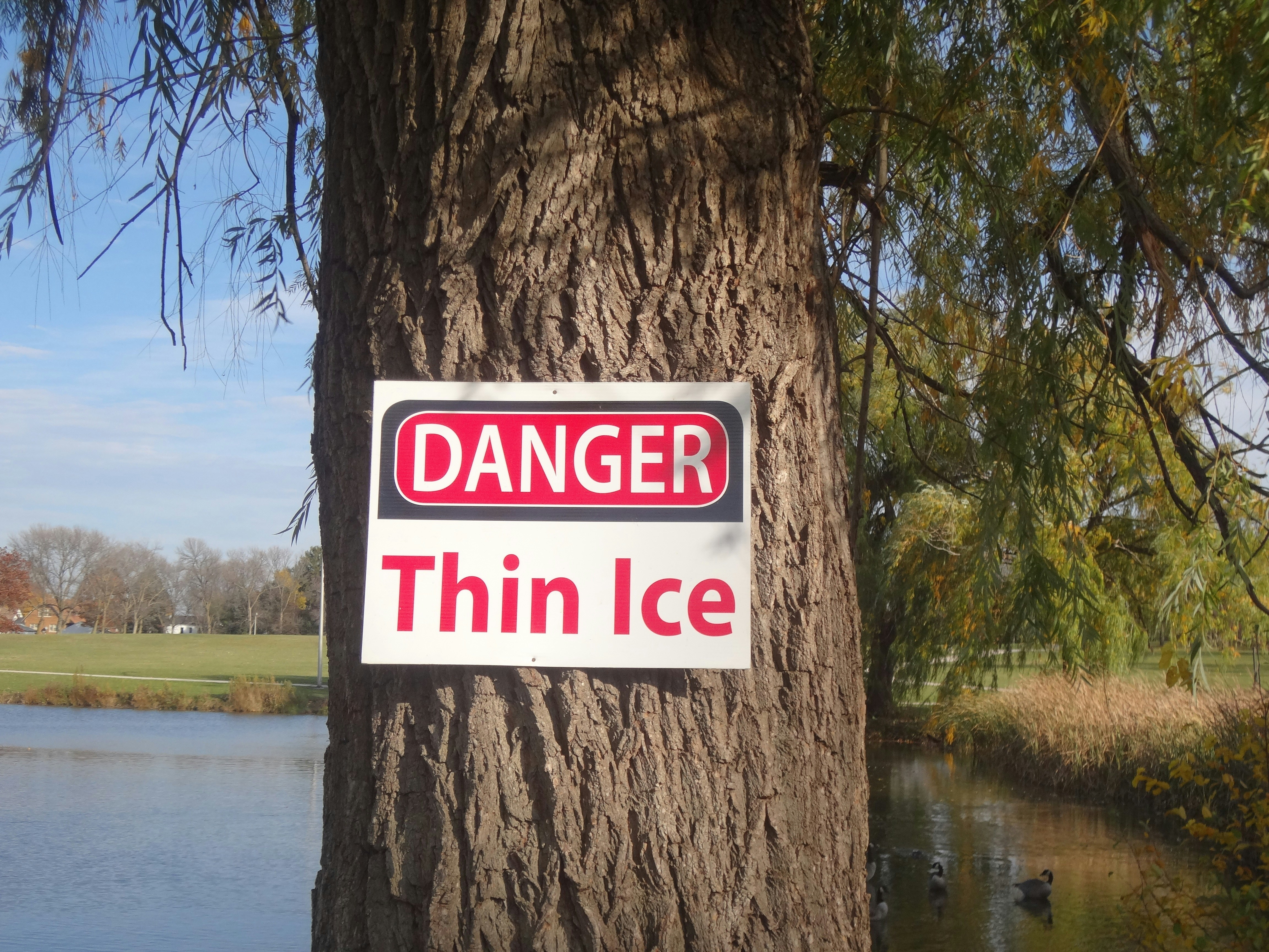 Free Unsplash photo from Alzada Downs