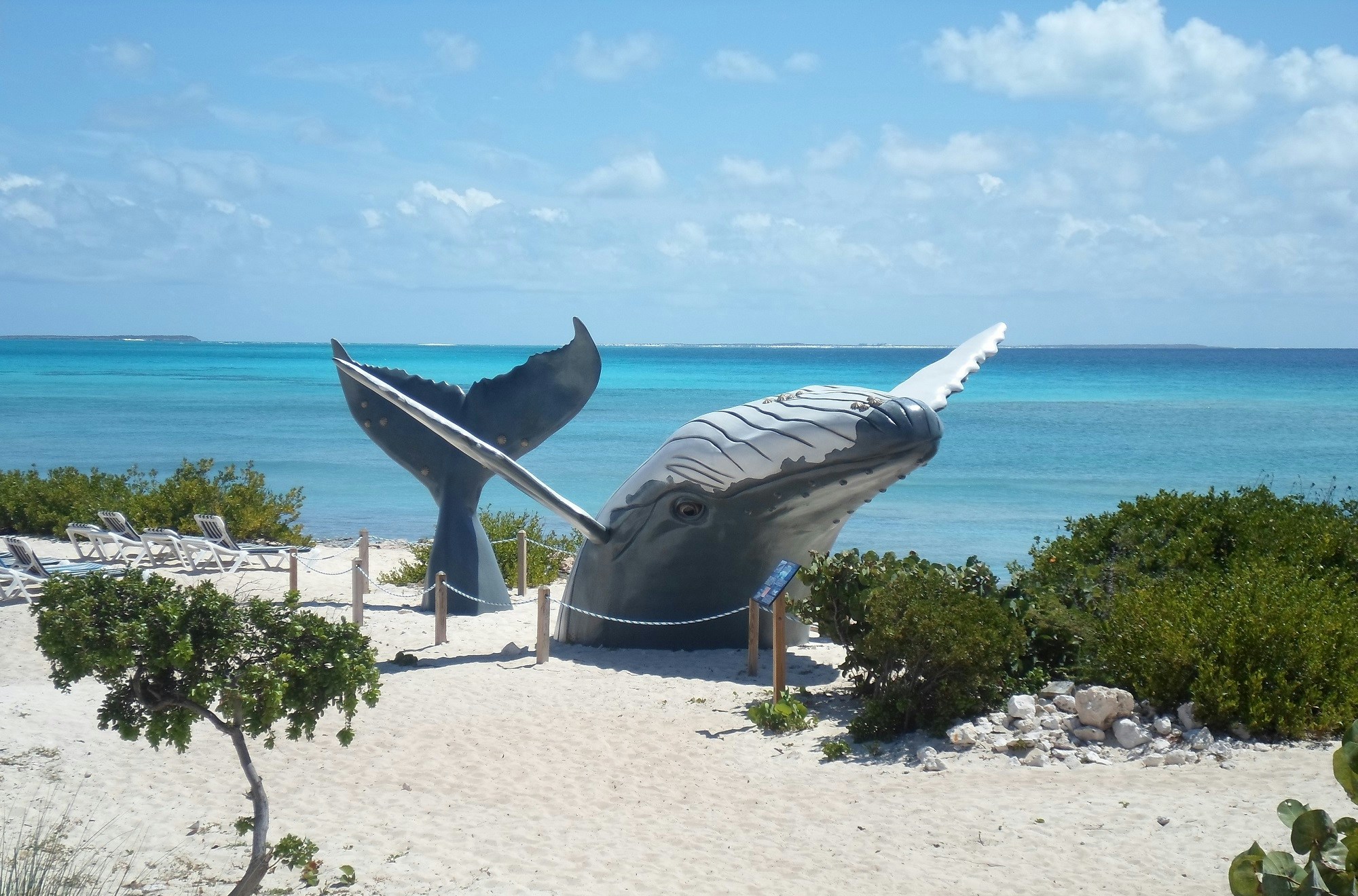 Free Unsplash photo from Alzada Downs