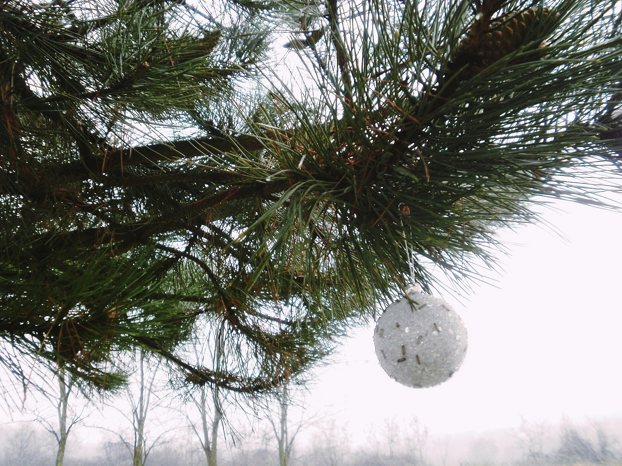 Free Unsplash photo from Kata Osto