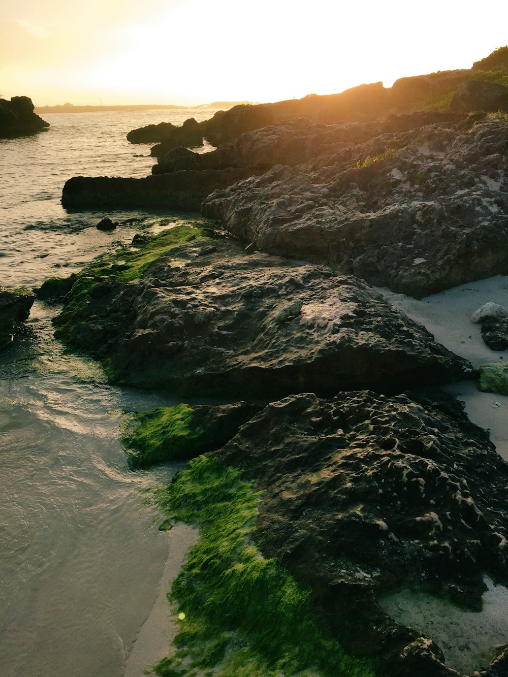 brown rocks beside ocean