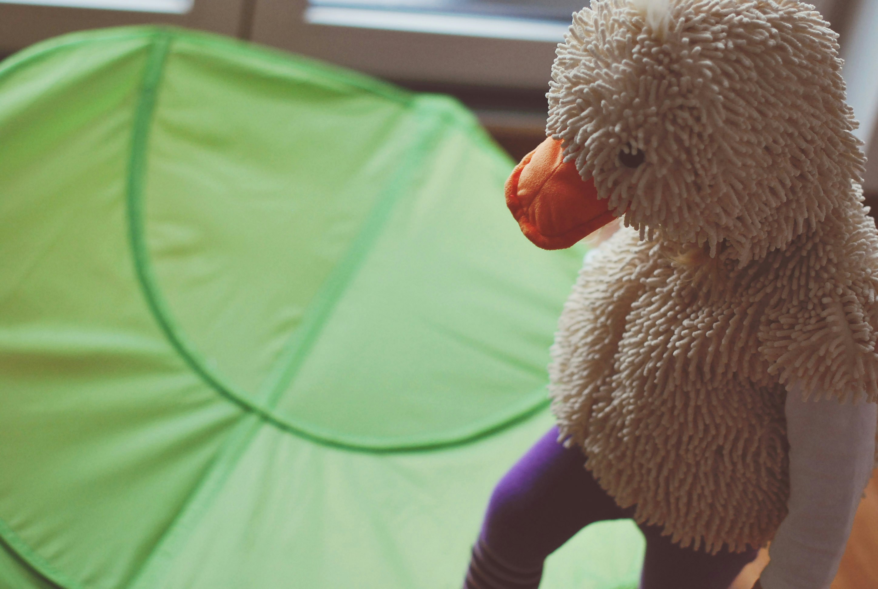 Free Unsplash photo from Sylwia Pietruszka