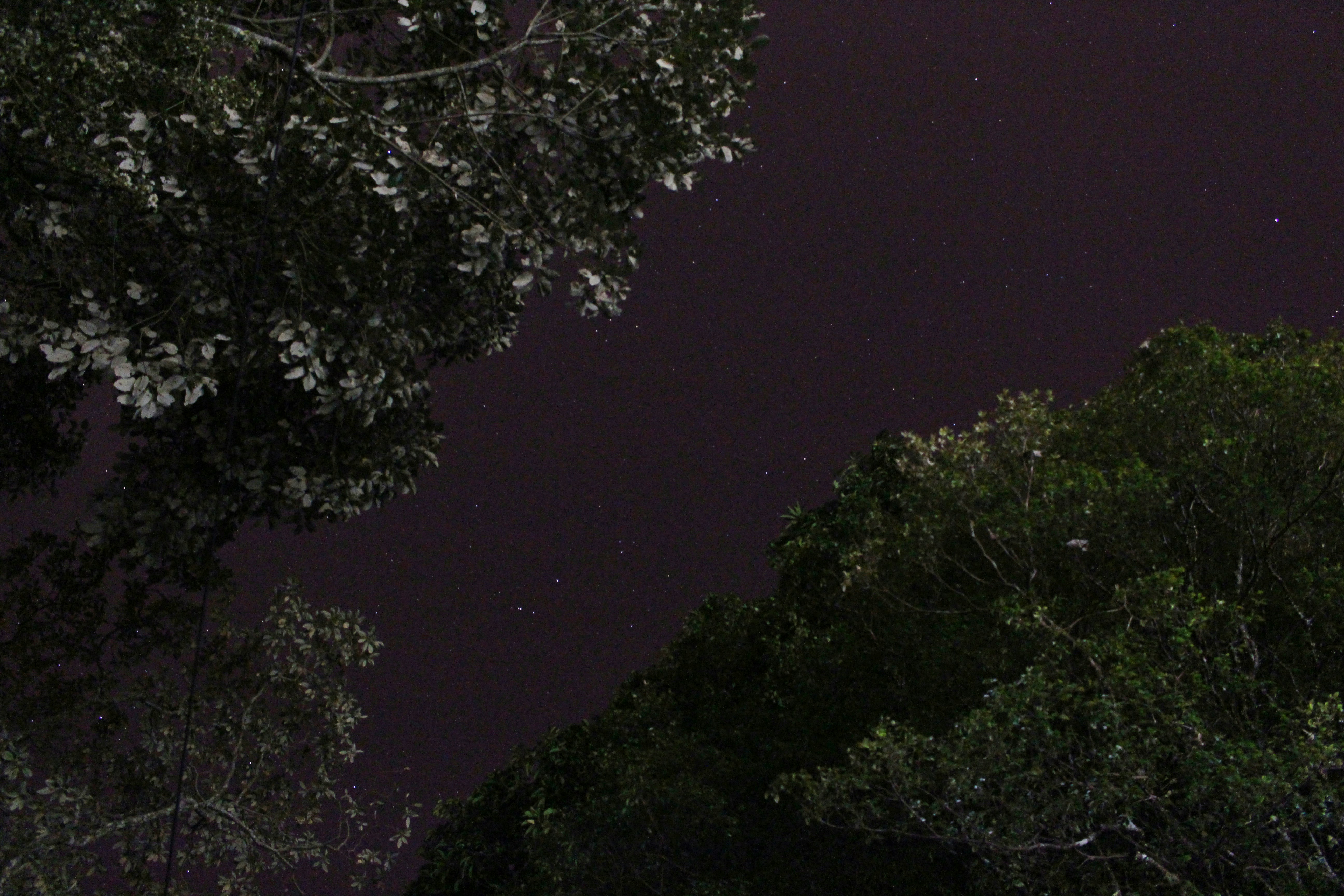 Free Unsplash photo from Renato Nunes