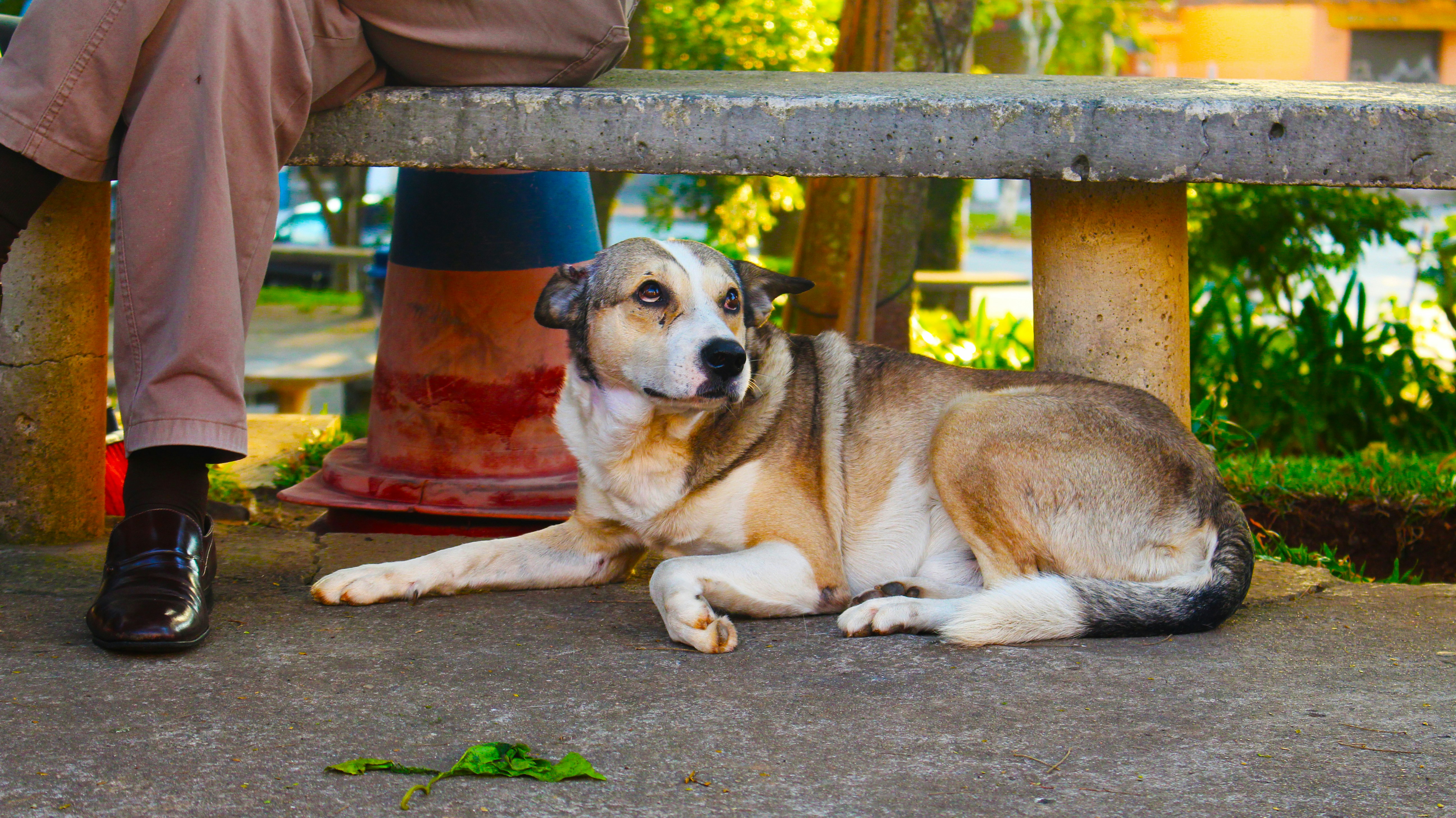 Free Unsplash photo from Renato Nunes