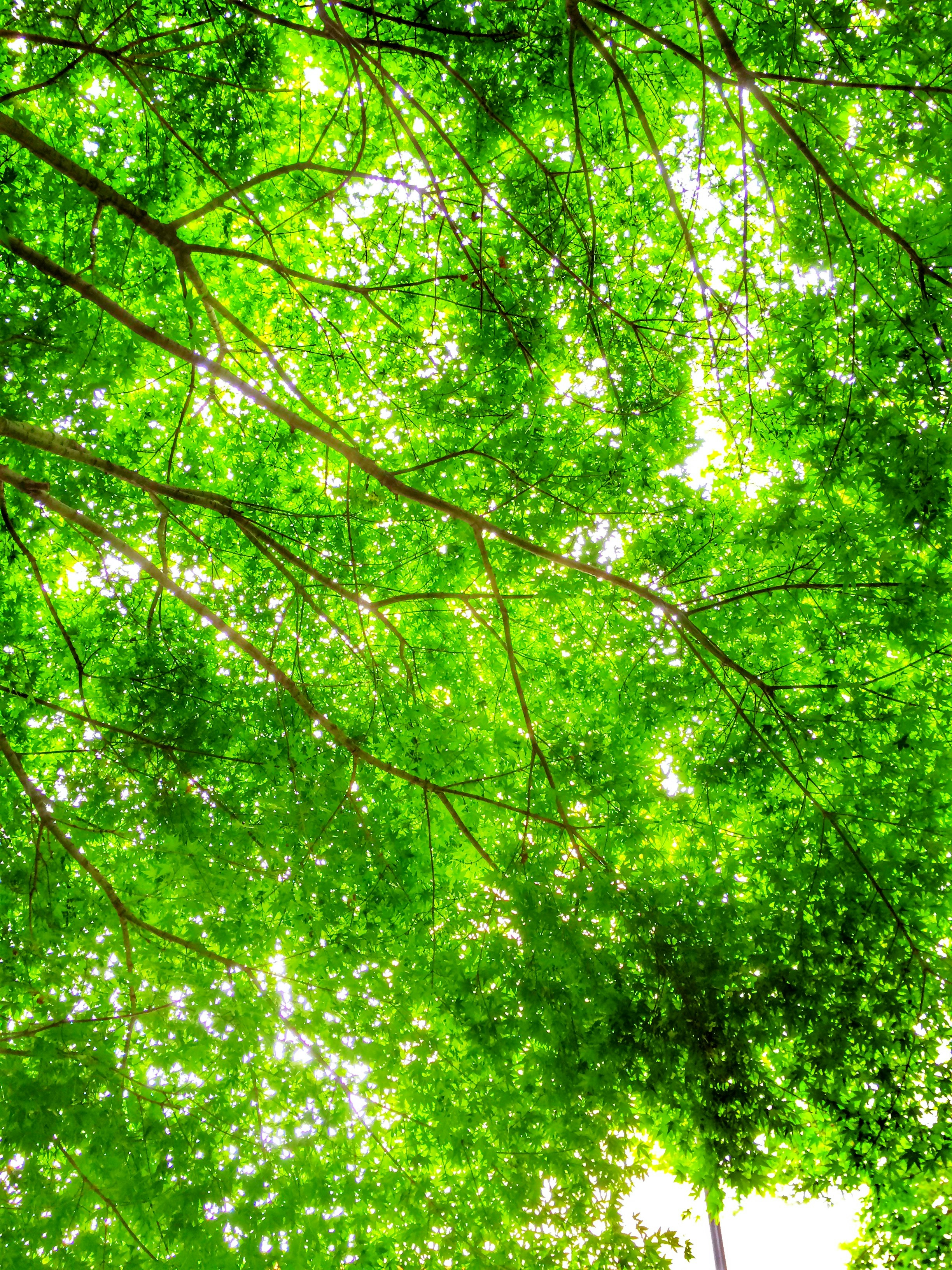 Free Unsplash photo from jungwook shin