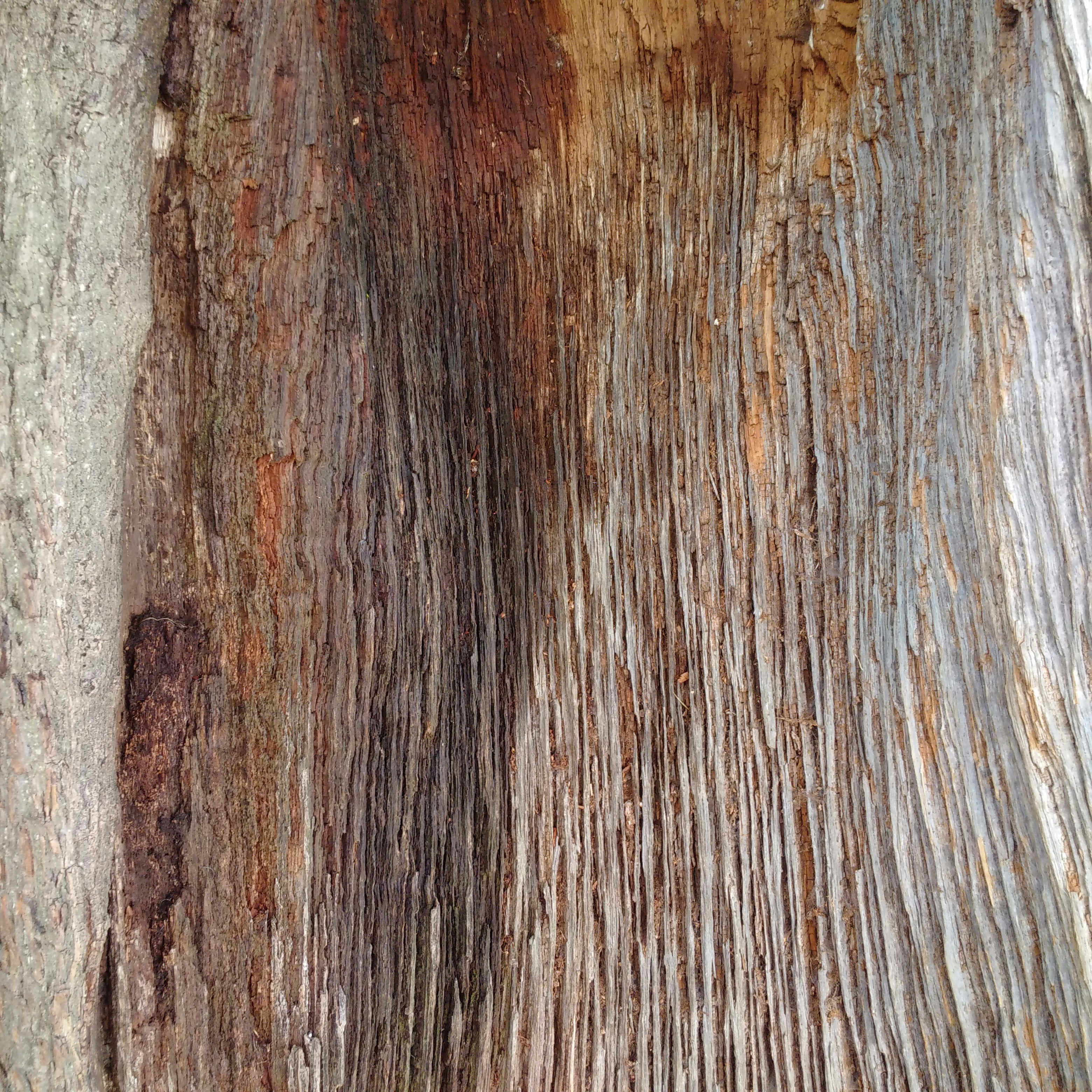 Free Unsplash photo from Stephen Thomas