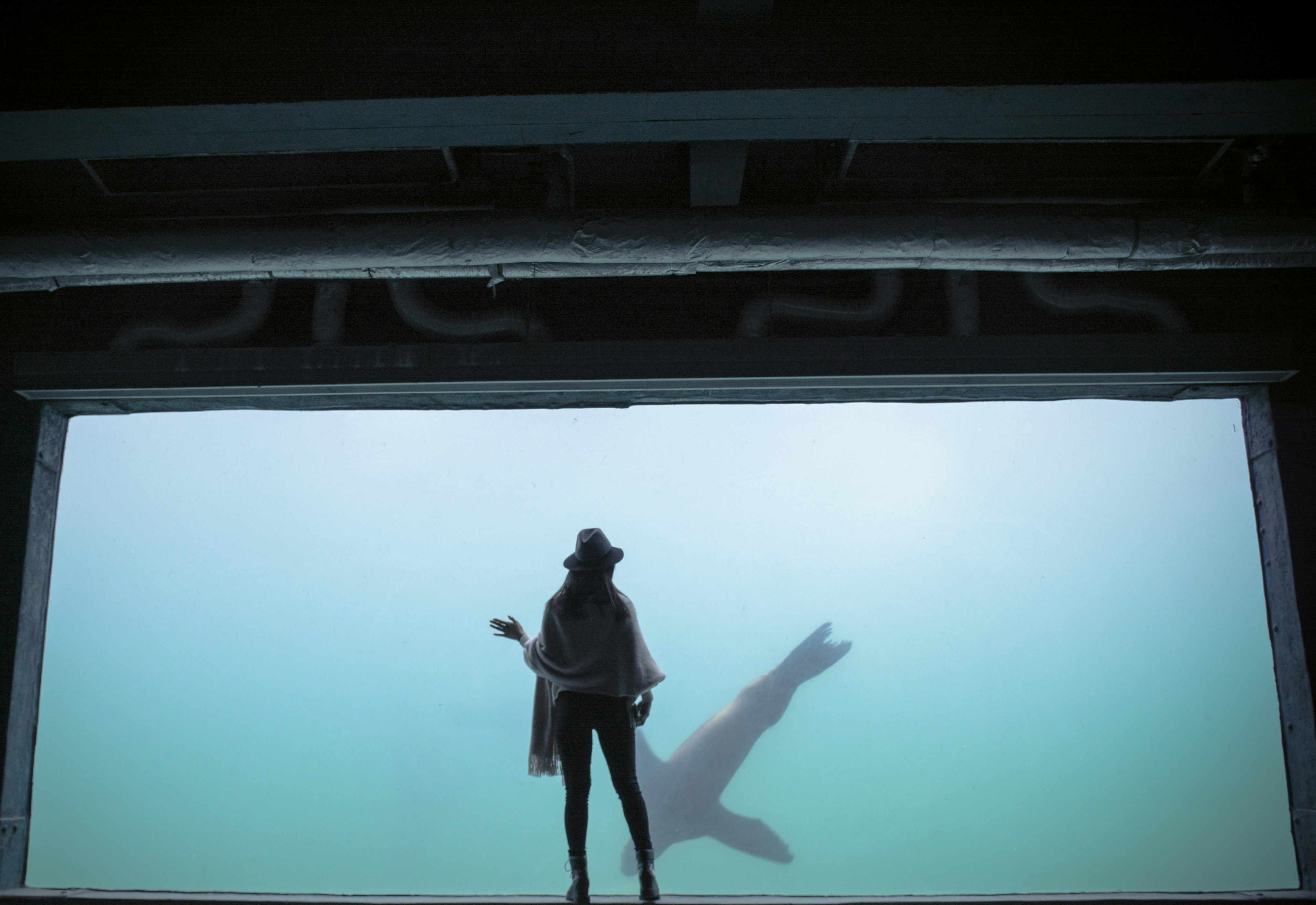 Free Unsplash photo from JINDONG H