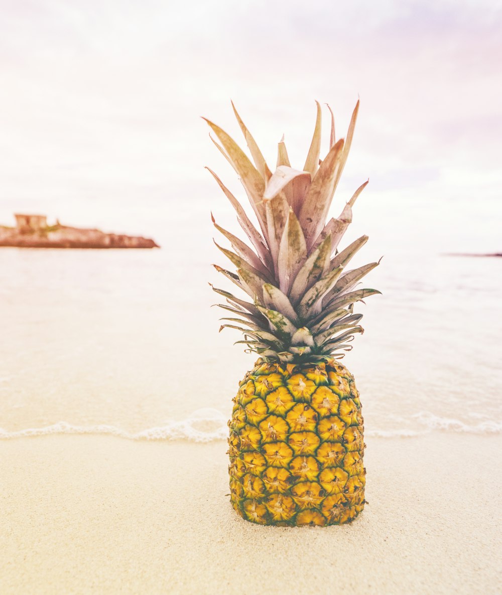 pineapple at the beach