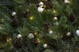 closeup photo of Christmas tree with ornament and lighted lights