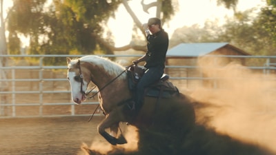 A rider wearing a hat and sunglasses rides a palomino horse swiftly in a fenced area, creating a large cloud of dust around them. The scene is outdoor, set against the backdrop of trees and a building with a blue roof. The sunlight casts a warm glow, highlighting the dynamic motion.