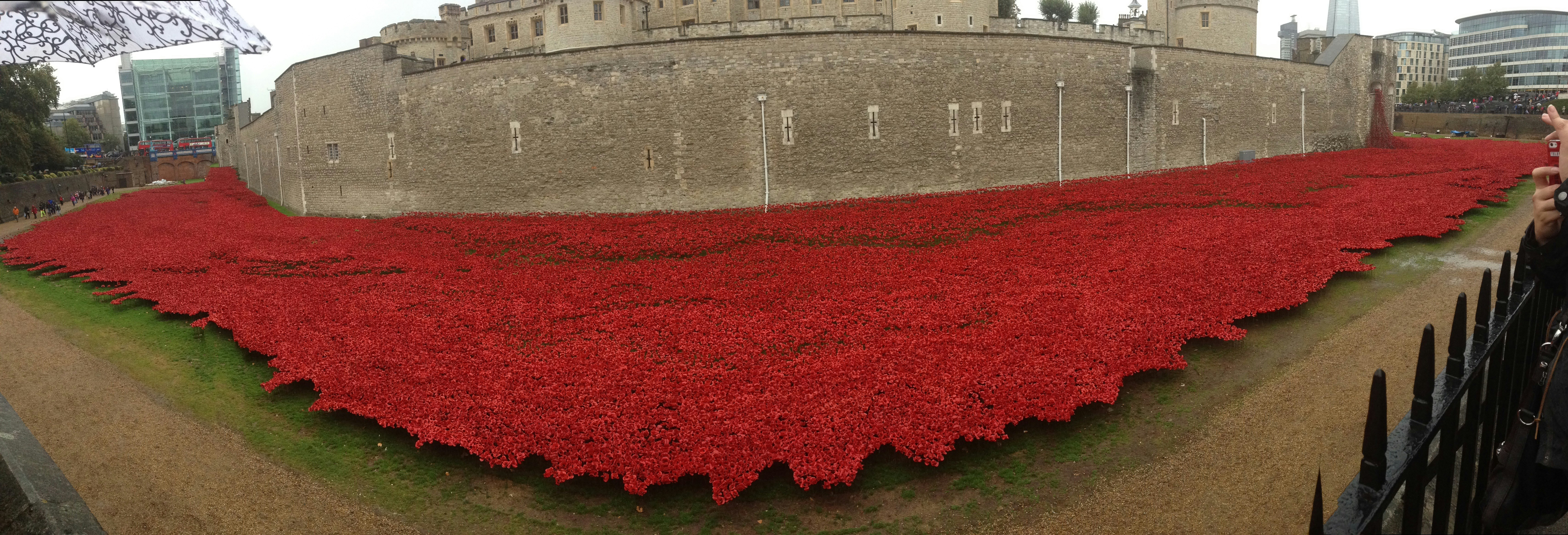 Free Unsplash photo from Rob Ayres