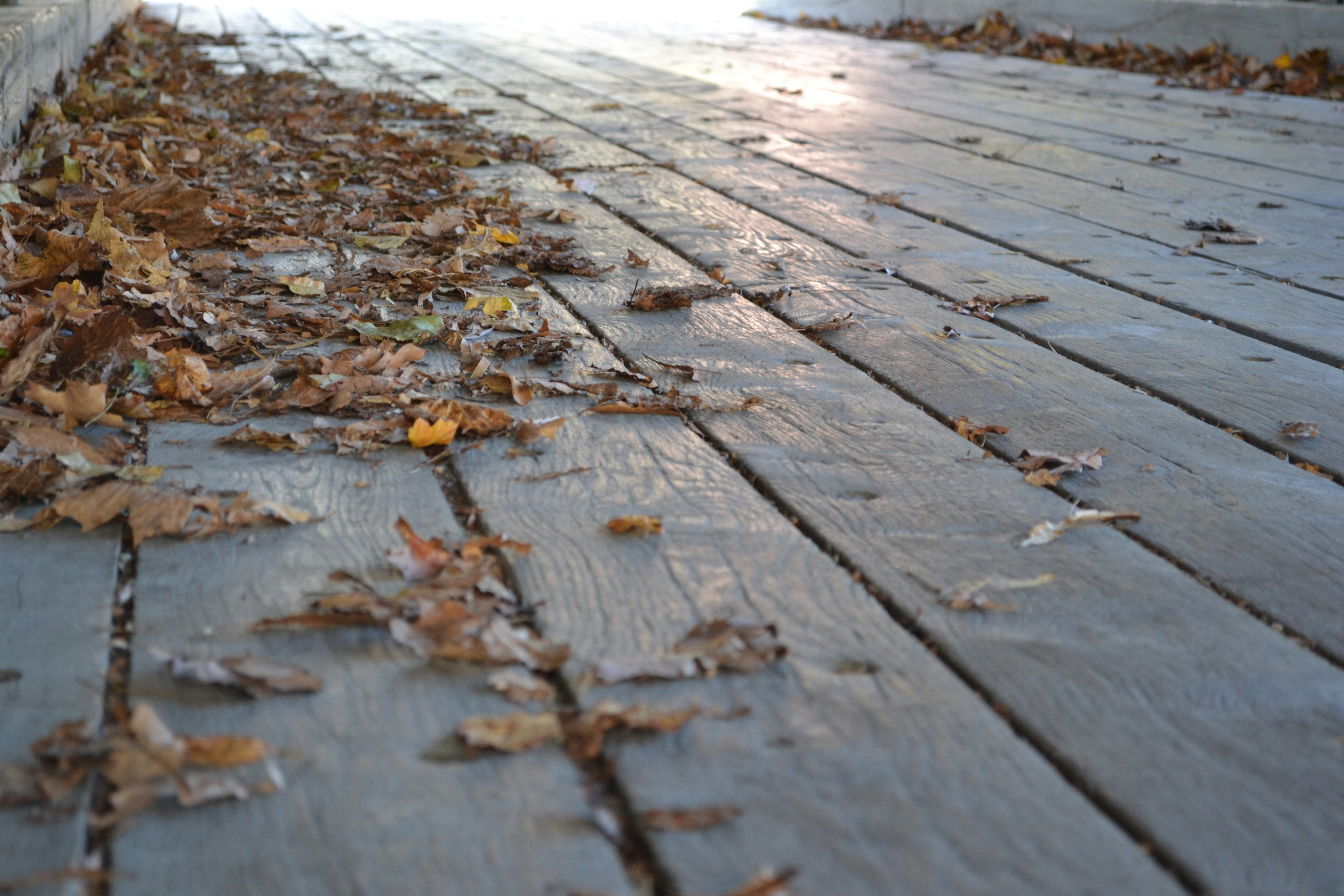 Free Unsplash photo from Jody Hodnett