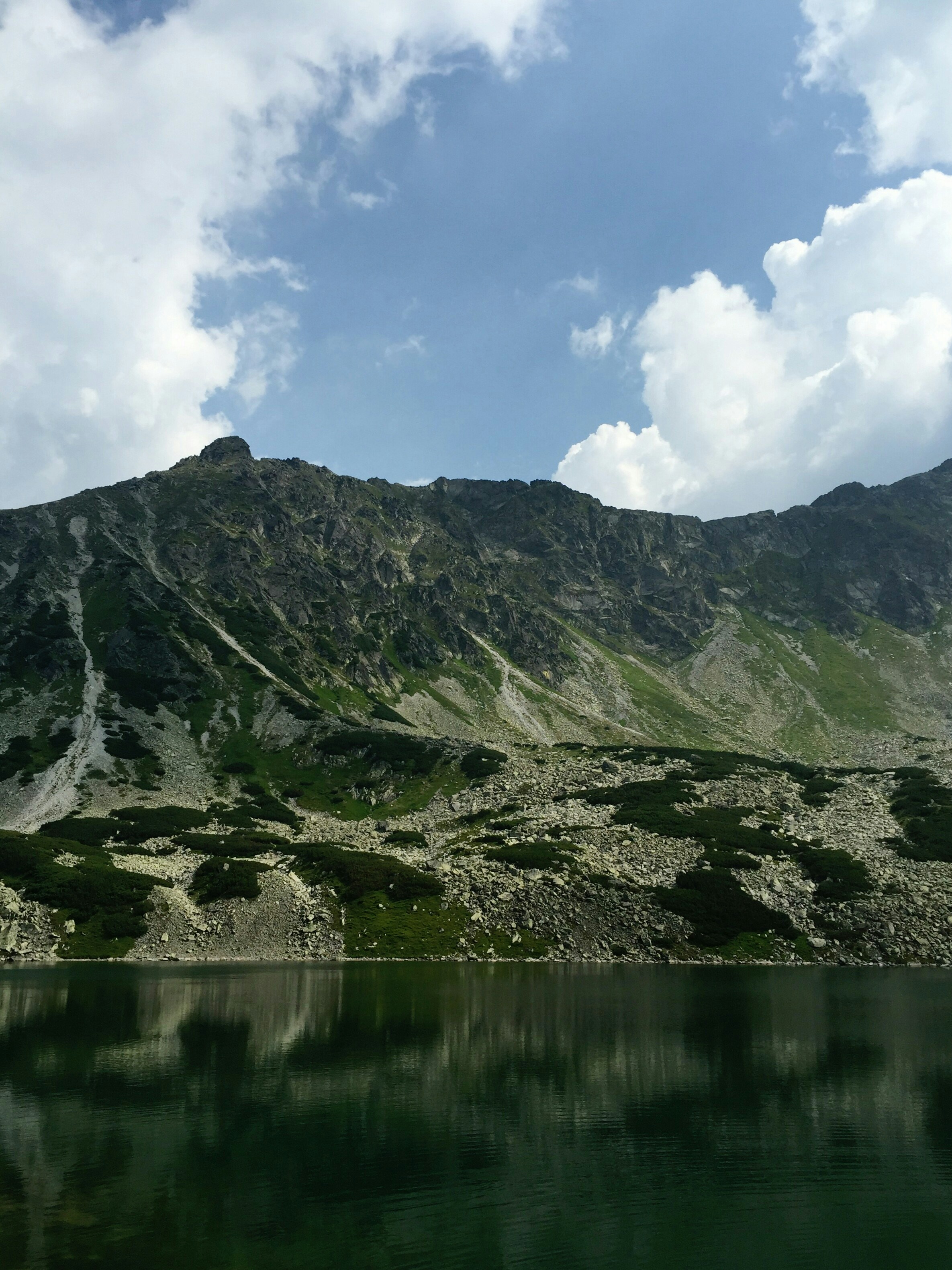 Free Unsplash photo from Szymon Wysocki