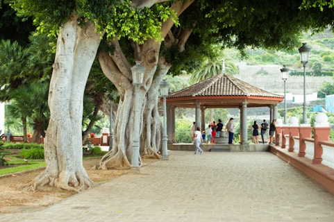 A scenic park setting with large, mature trees and a paved walkway leading to a gazebo. Several people, including adults and children, are gathered near the gazebo. There are green bushes and palm trees in the background, and lamp posts line the walkway.