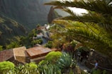 A scenic view of the village Amapali showcasing its lush greenery.