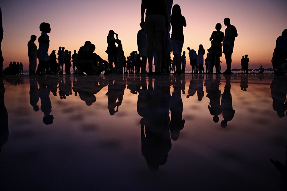 silhouette of people standing on mirror during golden hour