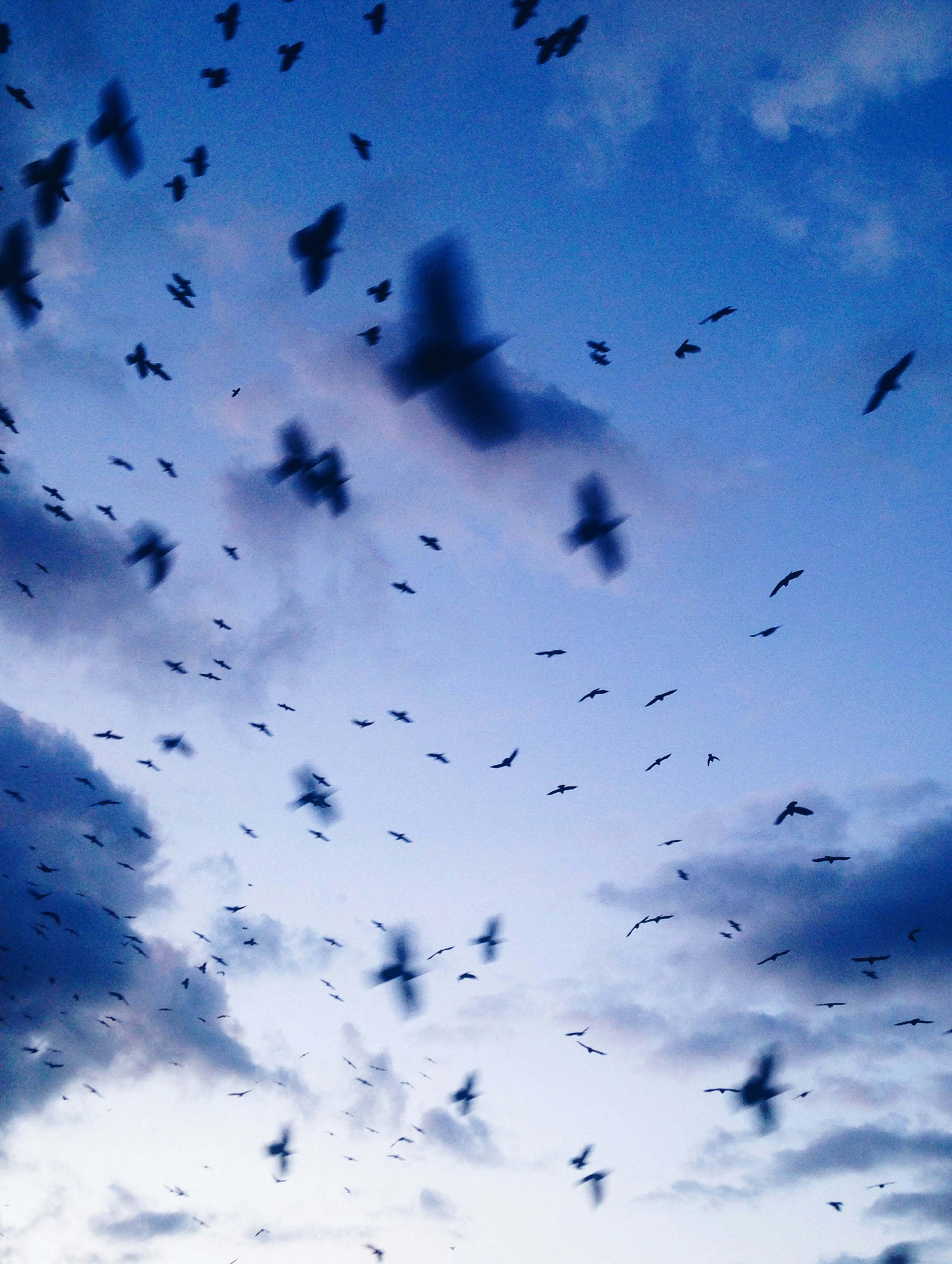 Free Unsplash photo from Kate Chenkova