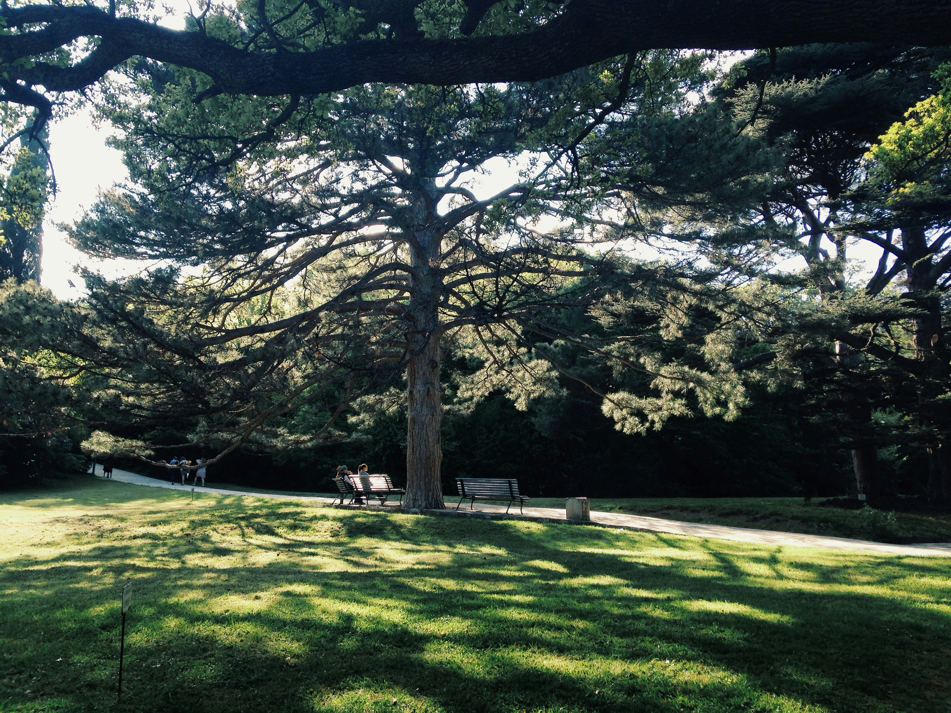 Free Unsplash photo from Kate Chenkova