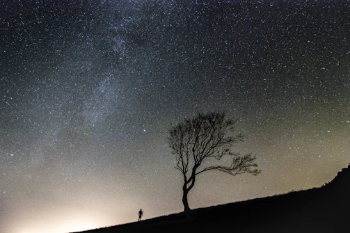 A serene nighttime landscape with a lone figure silhouetted against a starry sky.