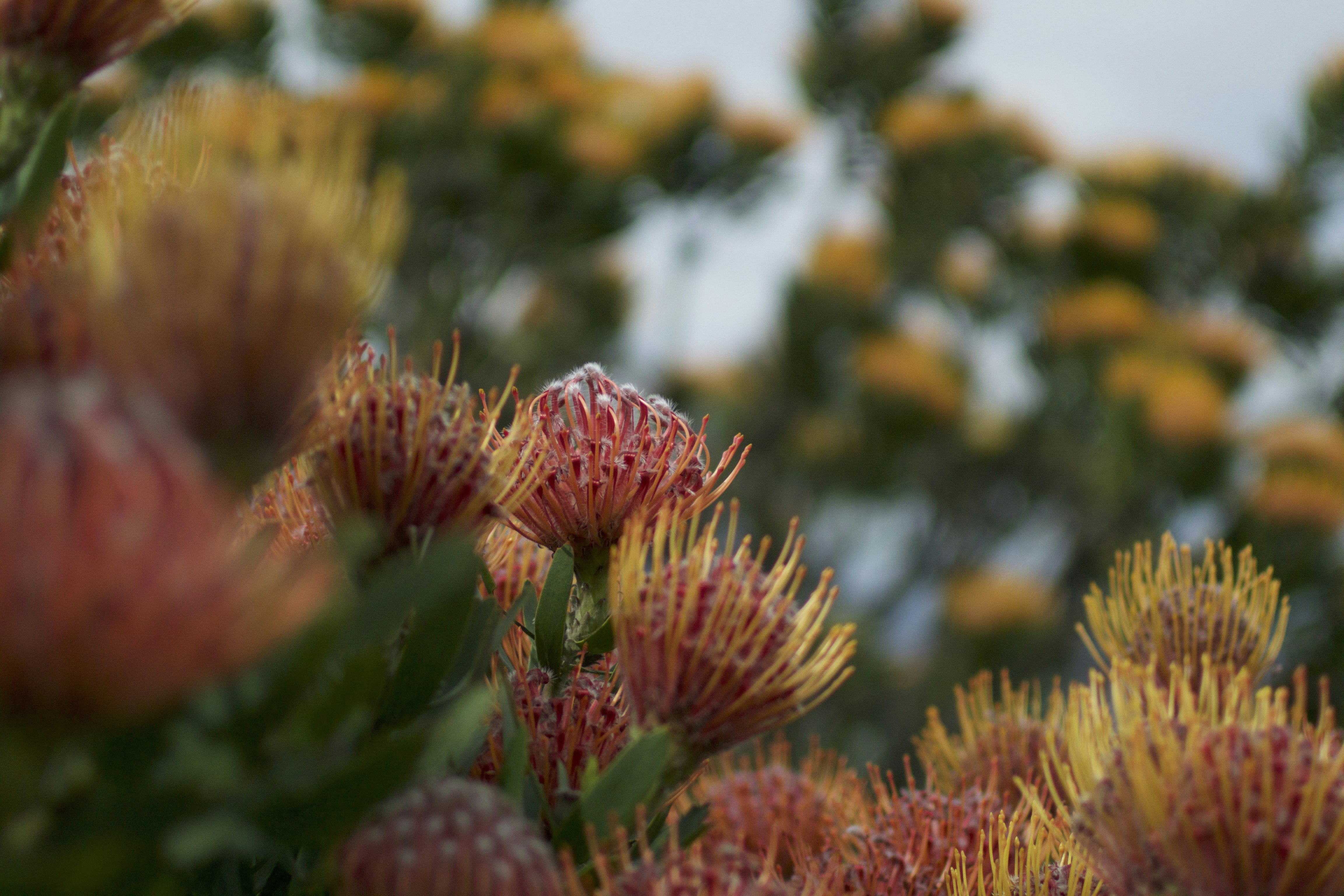 Free Unsplash photo from Simon Caminada