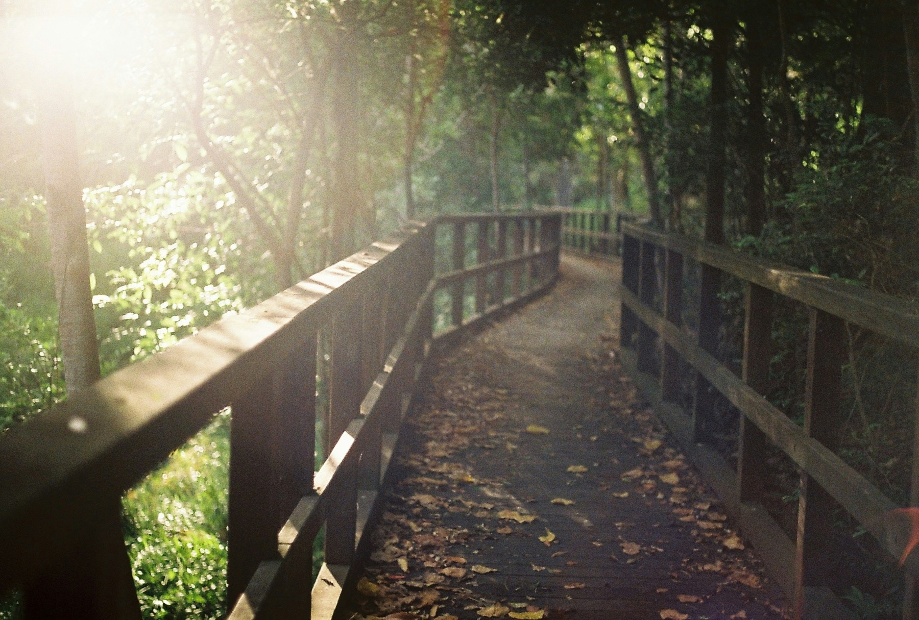 Free Unsplash photo from Reilly Creagh