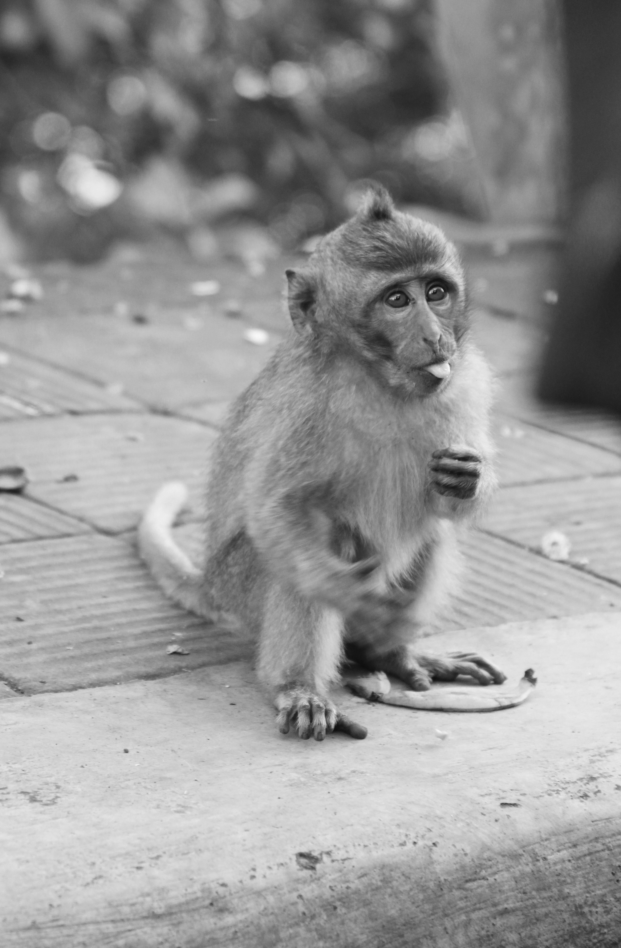 Free Unsplash photo from Reilly Creagh