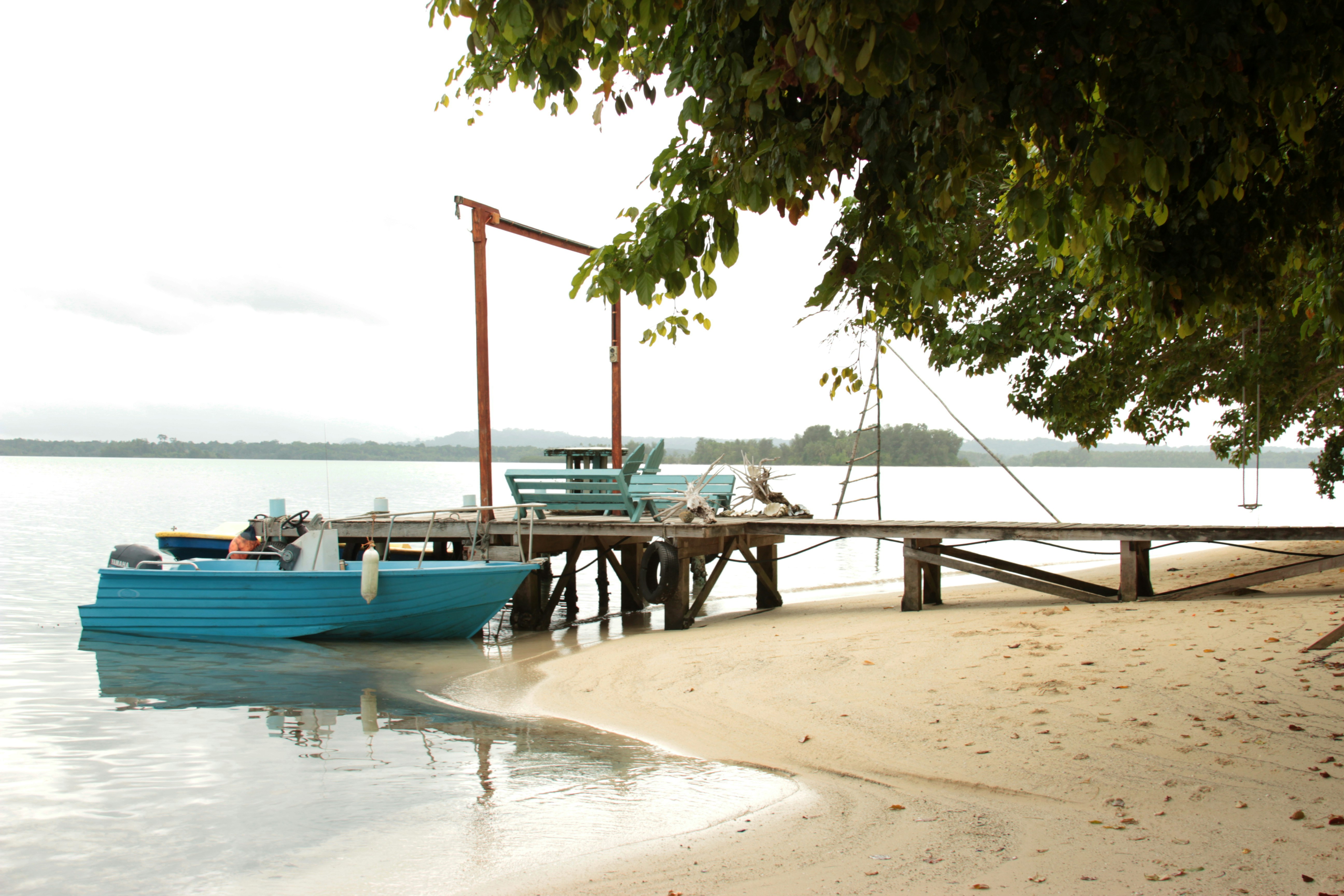 Free Unsplash photo from Reilly Creagh