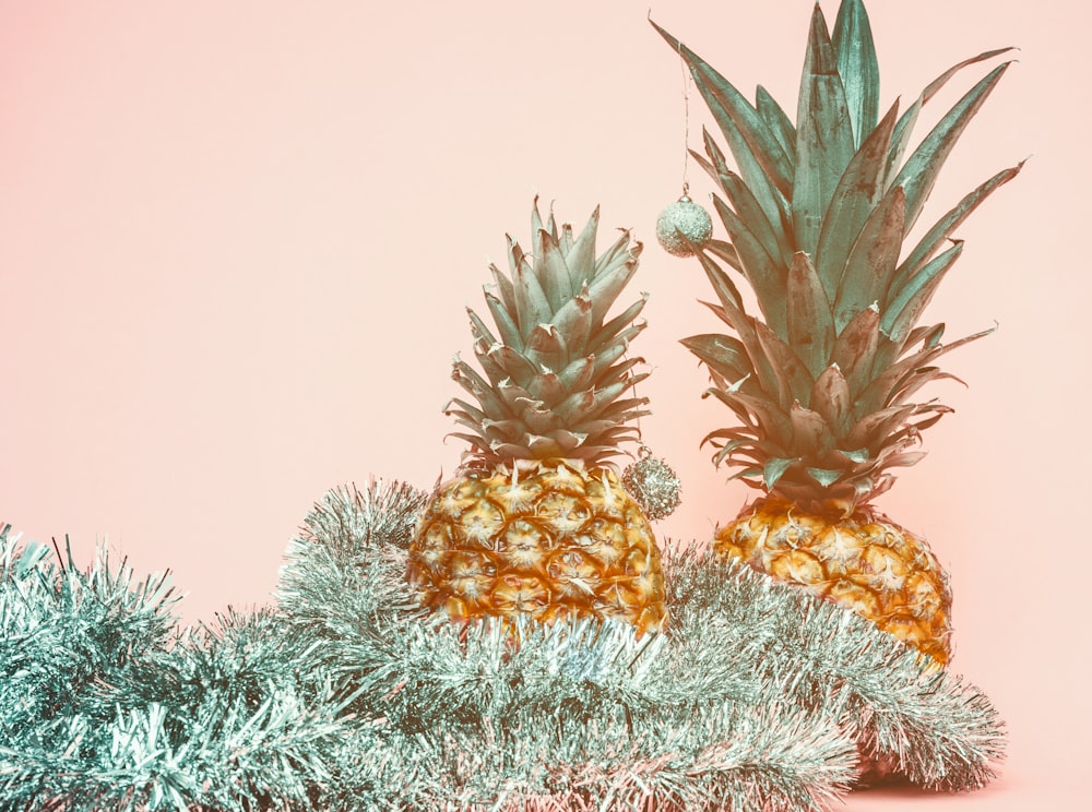 shallow focus photo of two yellow pineapple fruits