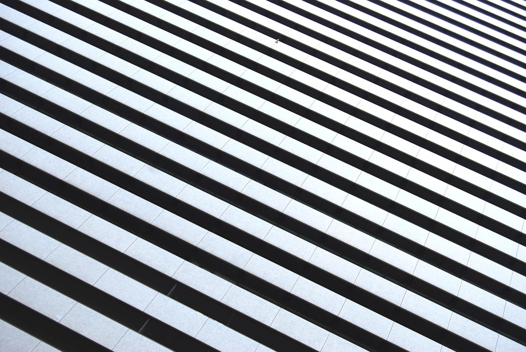 white and black striped illustration