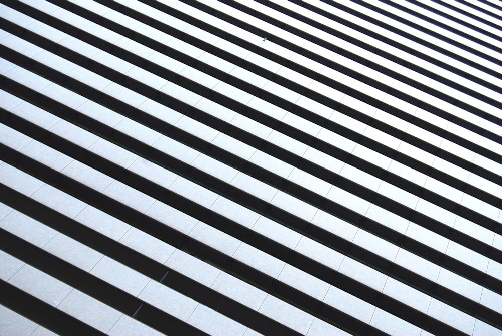 white and black striped illustration