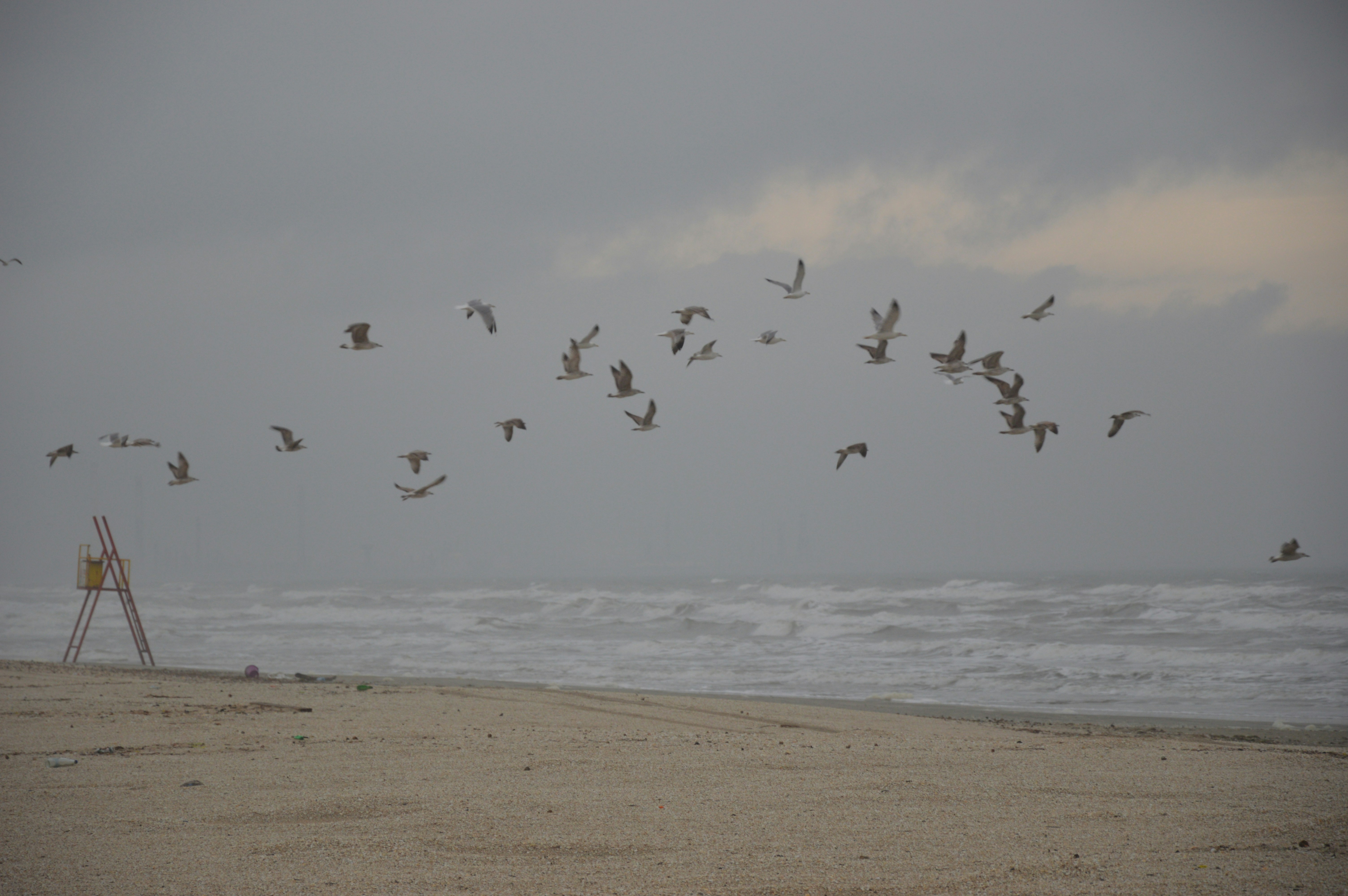 Free Unsplash photo from Razvan Rosu