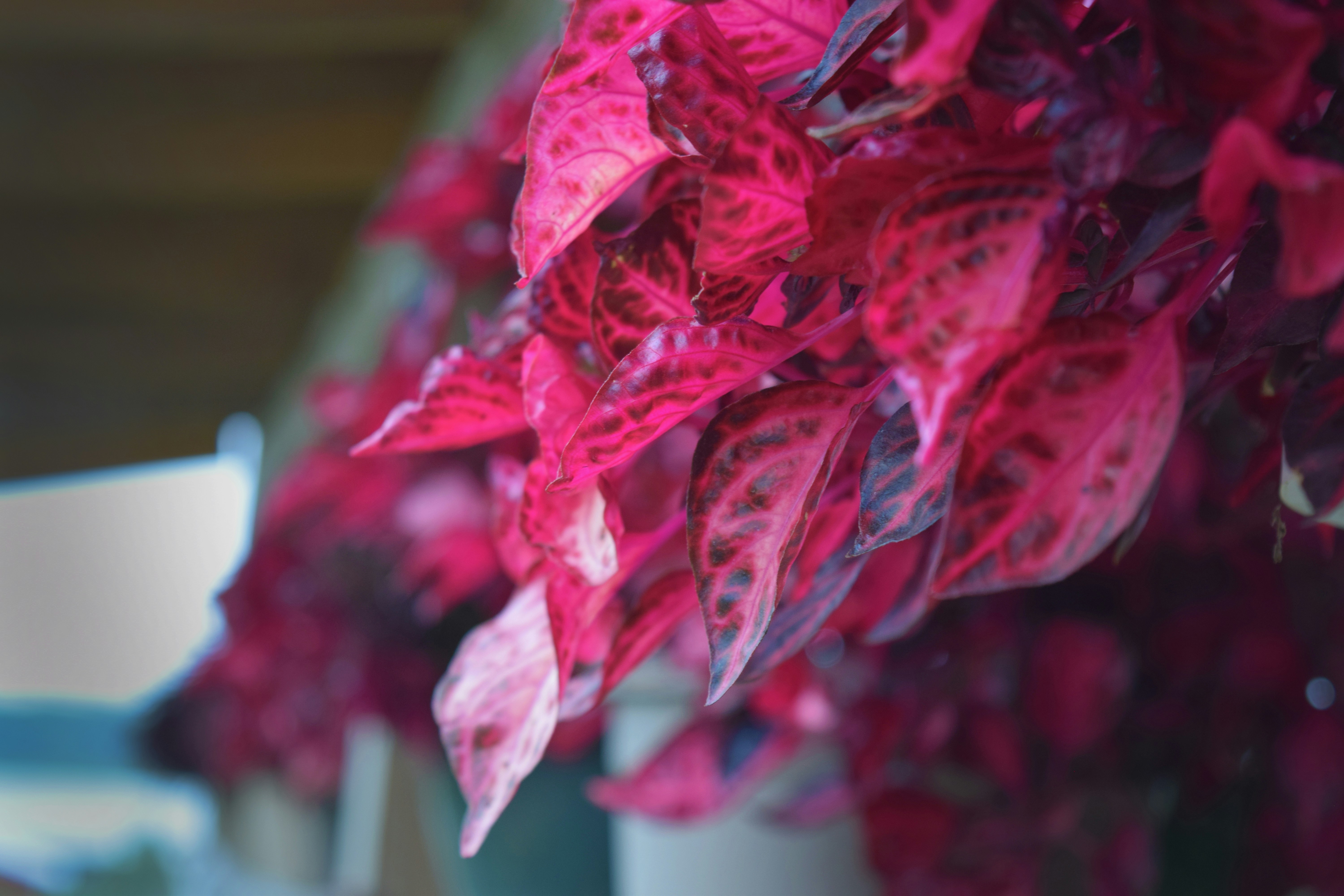 Free Unsplash photo from Kyle Rice