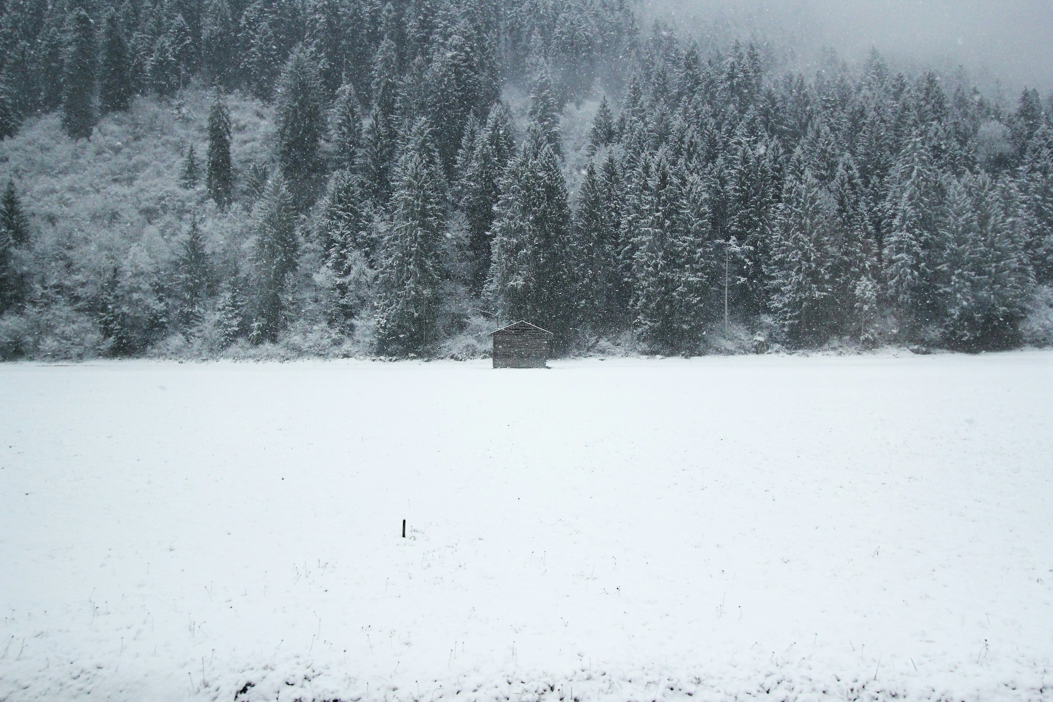 Free Unsplash photo from San Yu