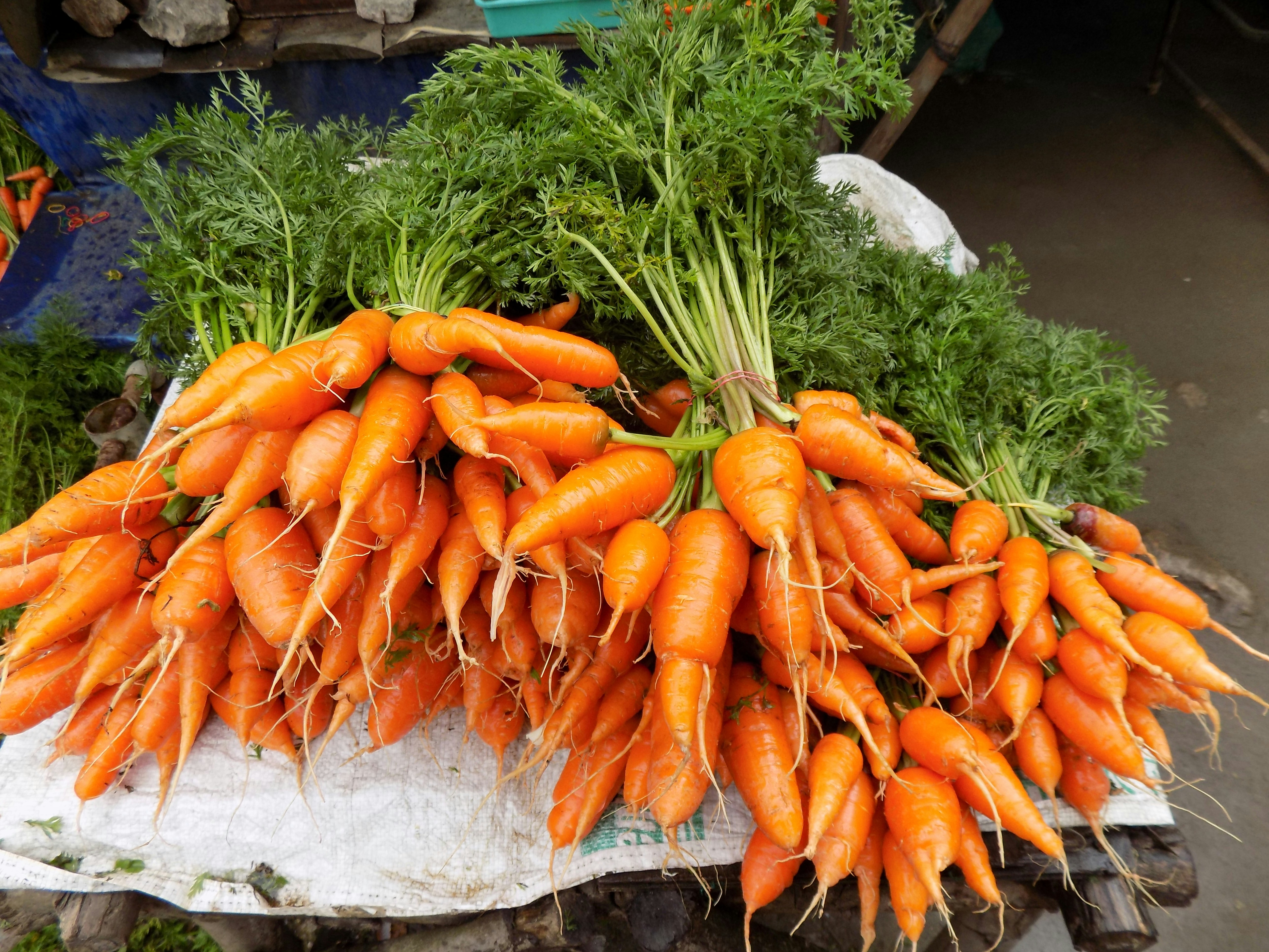 Free Unsplash photo from Fernanda Navilli