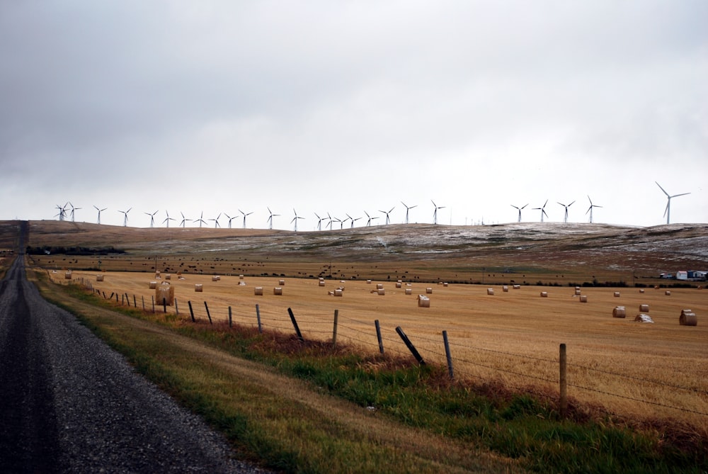 landscape photography of brown farm