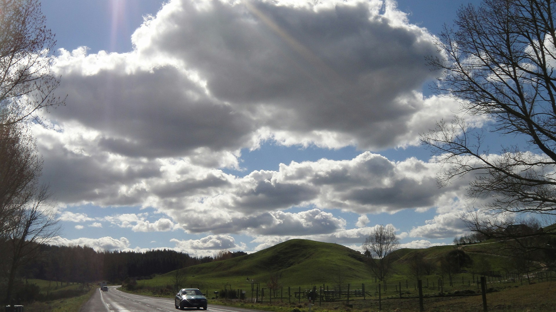 Free Unsplash photo from Jennett Bremer