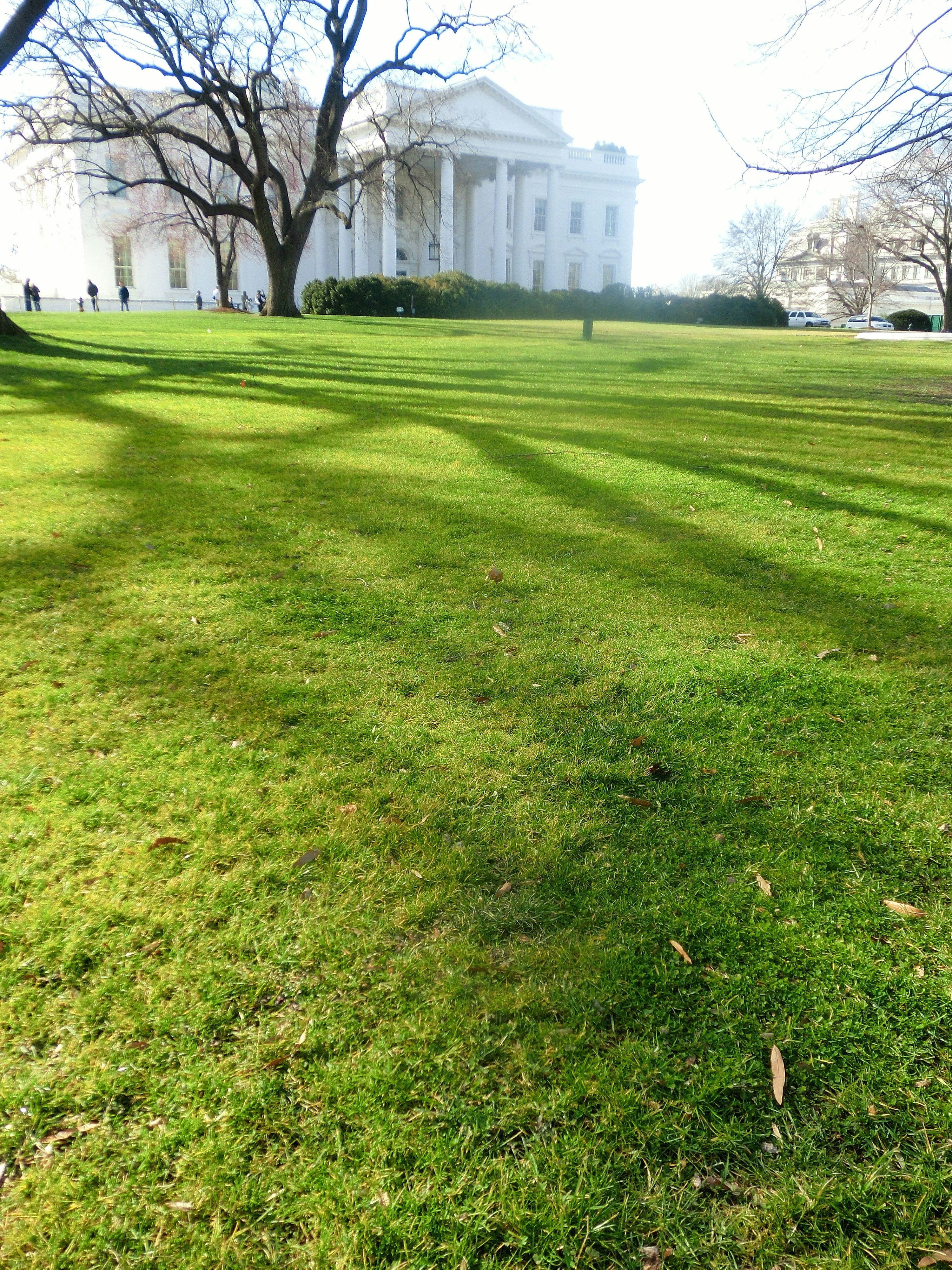 Free Unsplash photo from Jennett Bremer