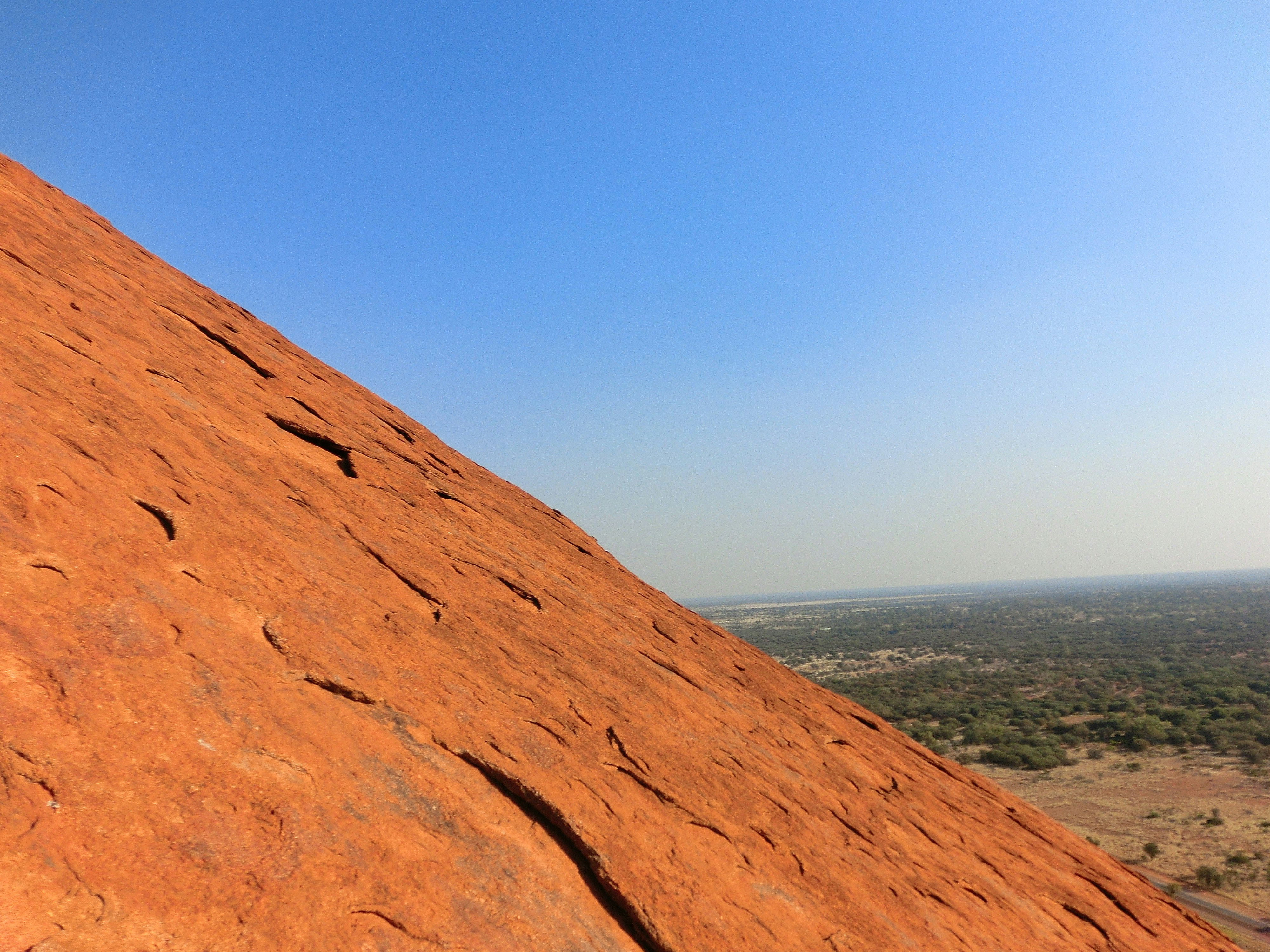 Free Unsplash photo from Jennett Bremer