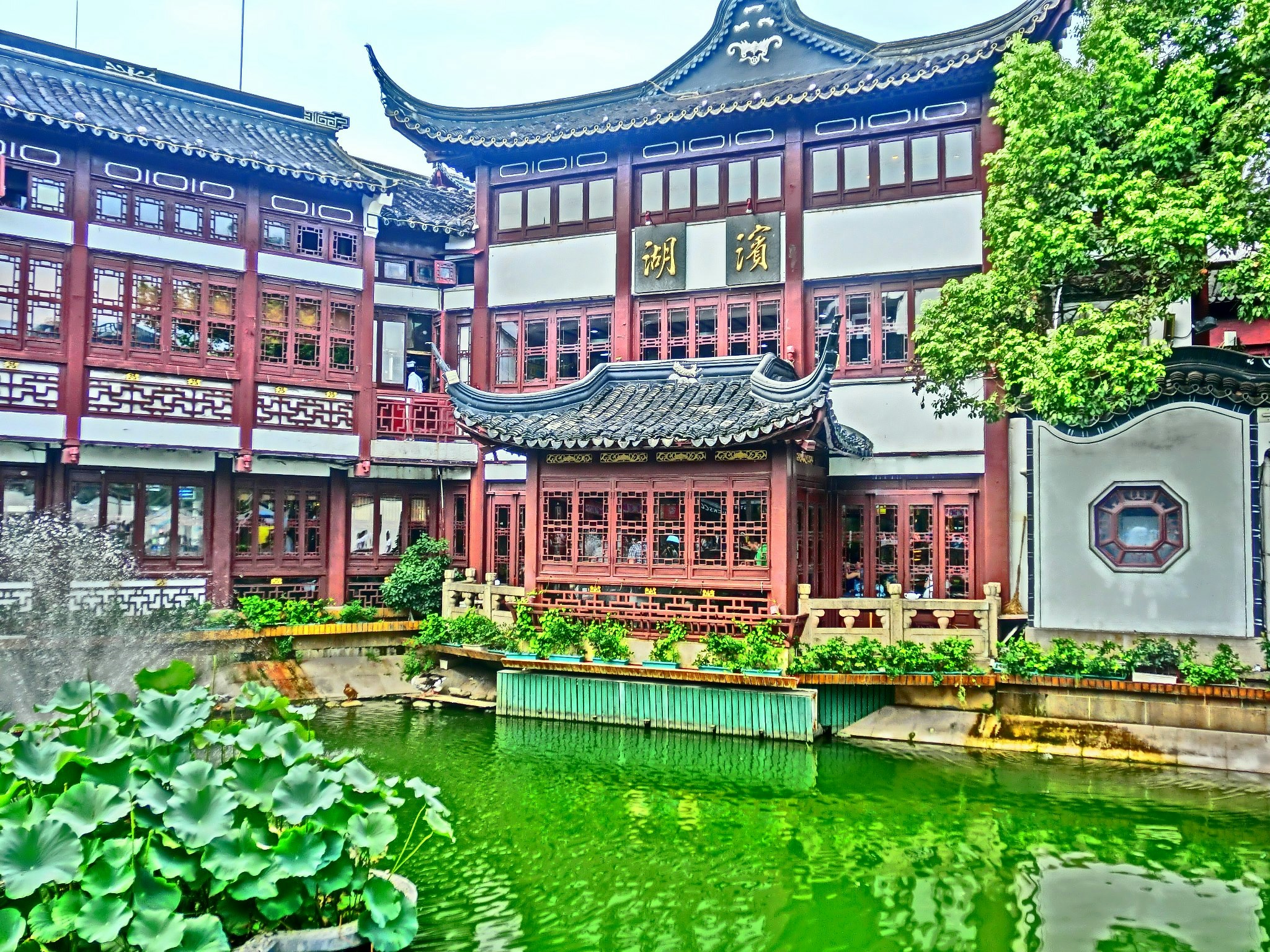 Free Unsplash photo from Jennett Bremer