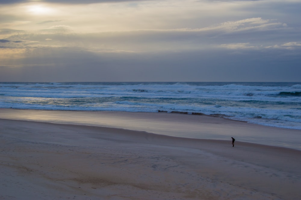 person walking on seashore