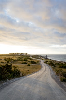 curved road surrounded by grass lawn