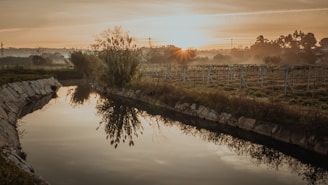Peaceful nature scene with a calm river flowing through golden fields at sunrise.