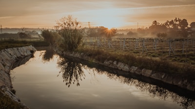 Peaceful nature scene with a calm river flowing through golden fields at sunrise.
