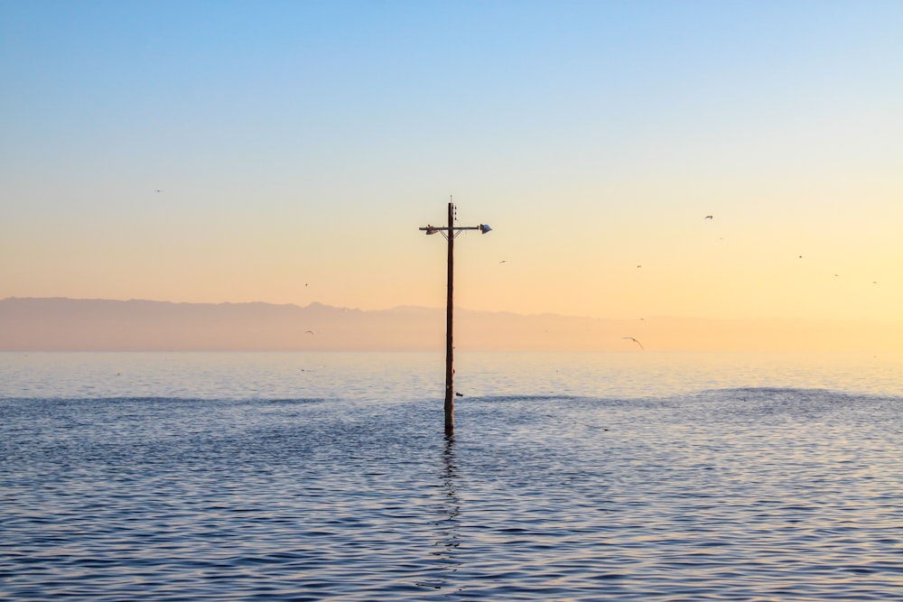 brown post on body of water